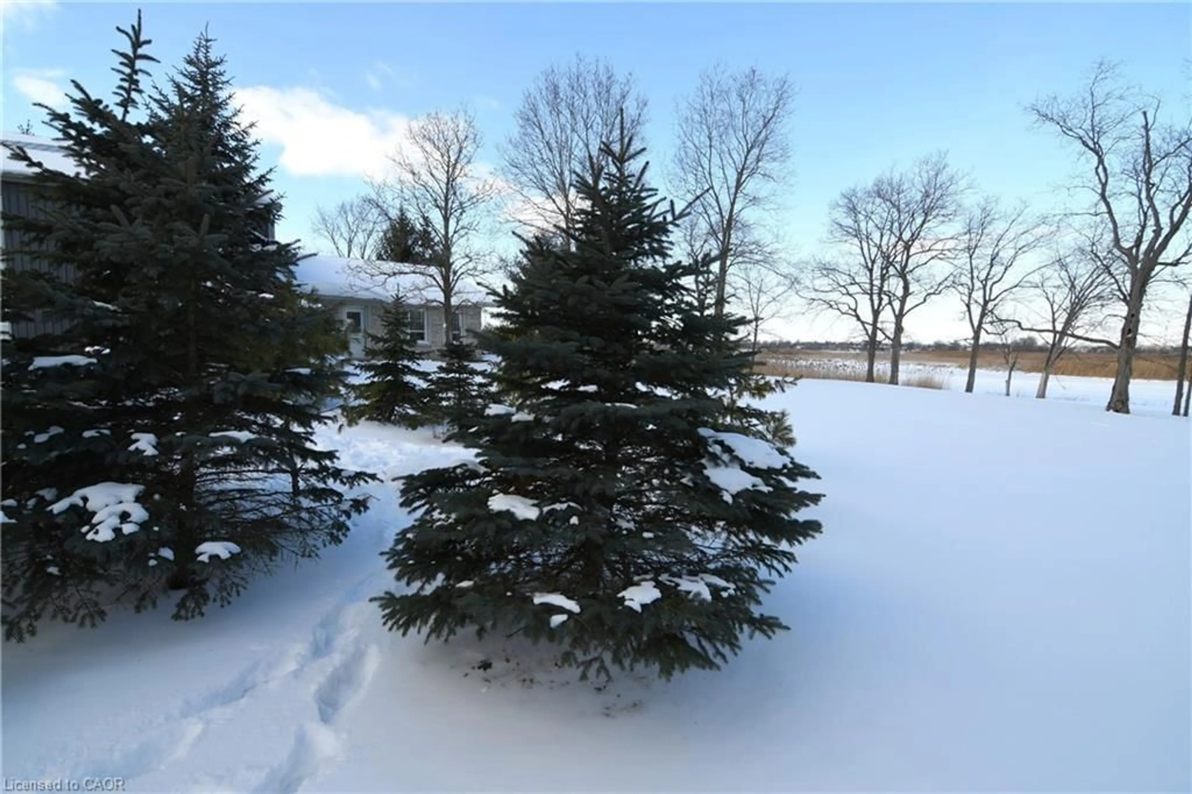 A pic from outside/outdoor area/front of a property/back of a property/a pic from drone, forest/trees view for 225 Port Maitland Rd, Dunnville Ontario N1A 2W6