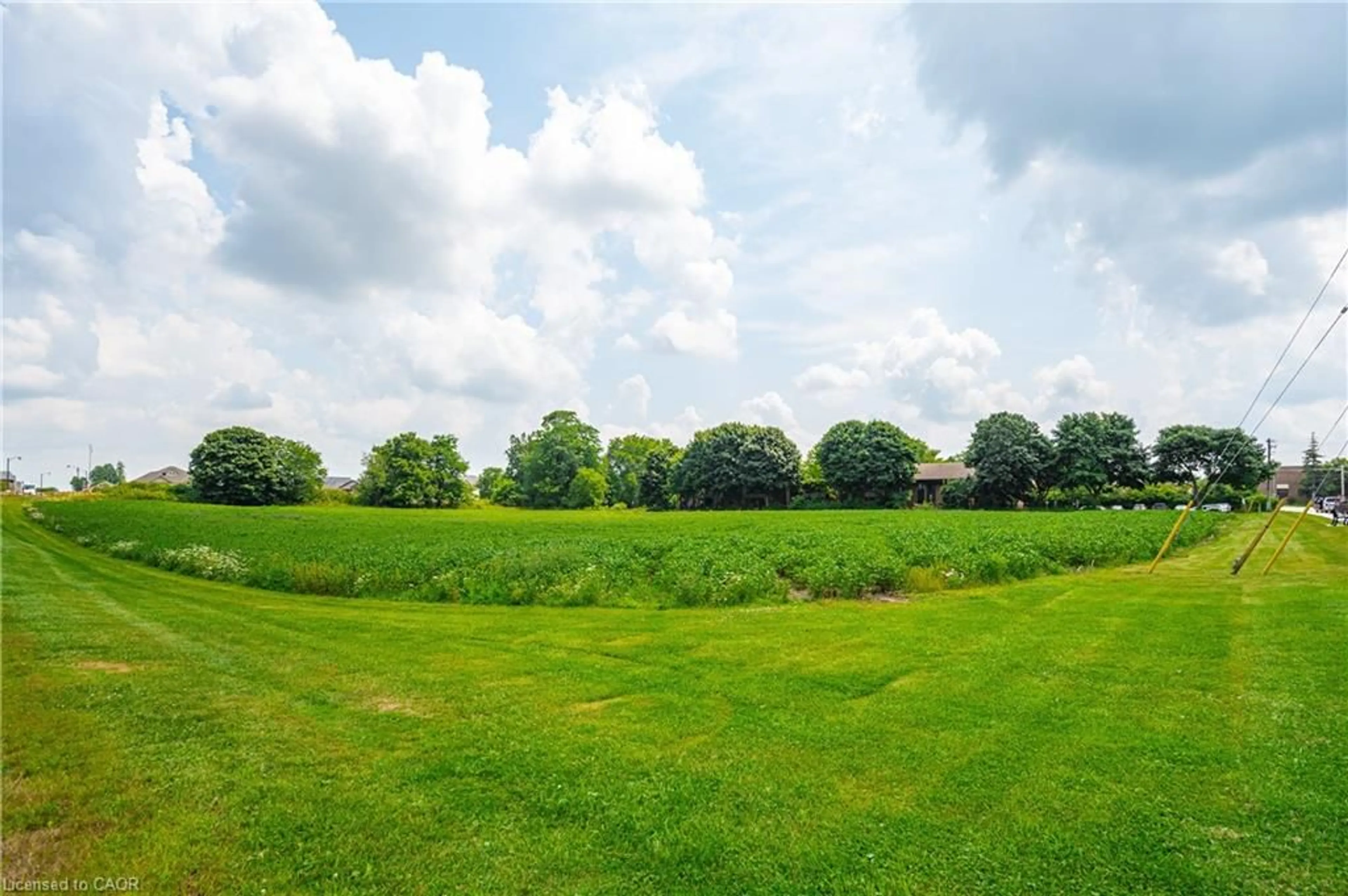 A pic from outside/outdoor area/front of a property/back of a property/a pic from drone, forest/trees view for 20 Lot Conc #1, Palmerston Ontario N0G 2P0