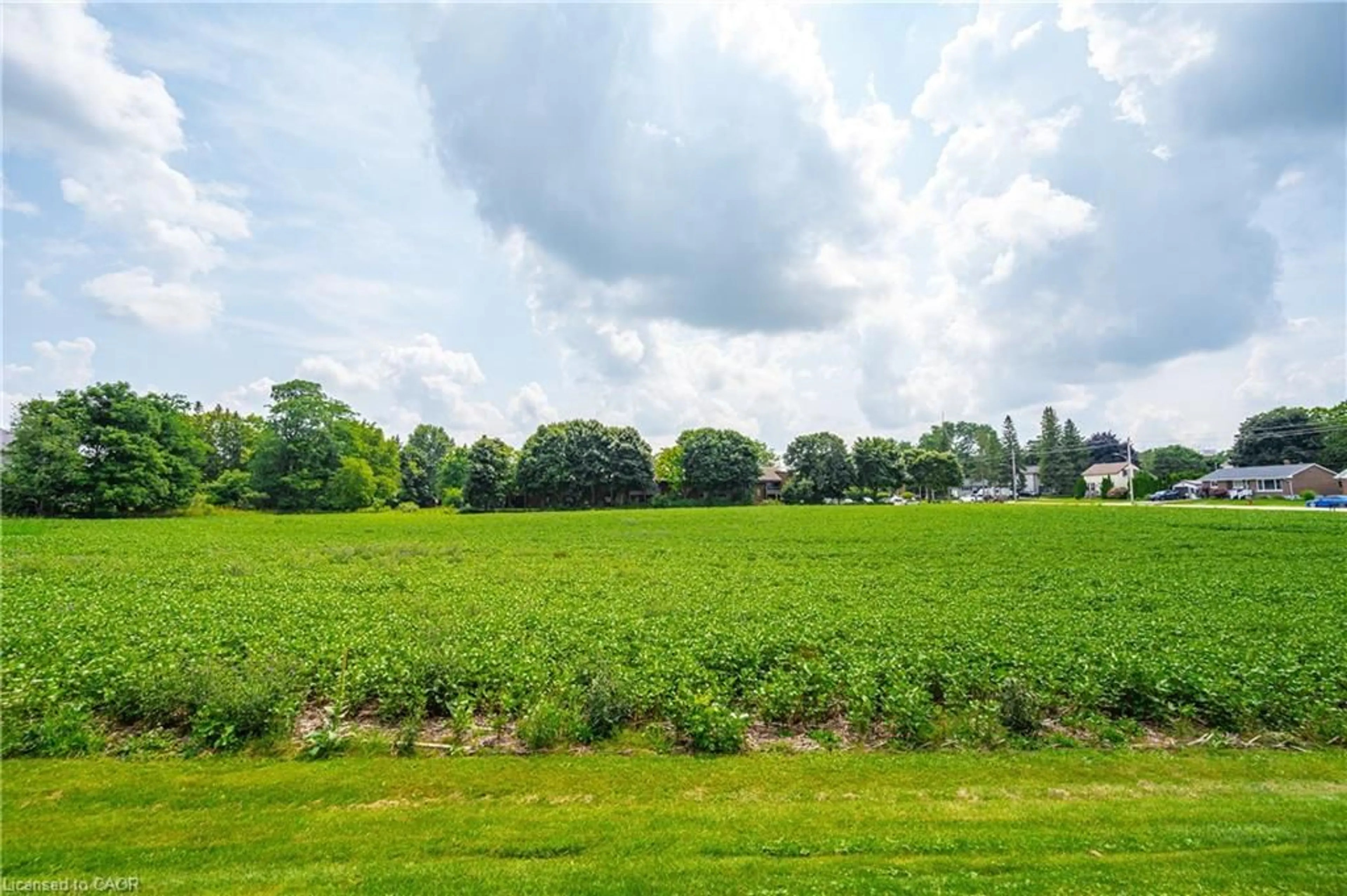 A pic from outside/outdoor area/front of a property/back of a property/a pic from drone, forest/trees view for 20 Lot Conc #1, Palmerston Ontario N0G 2P0