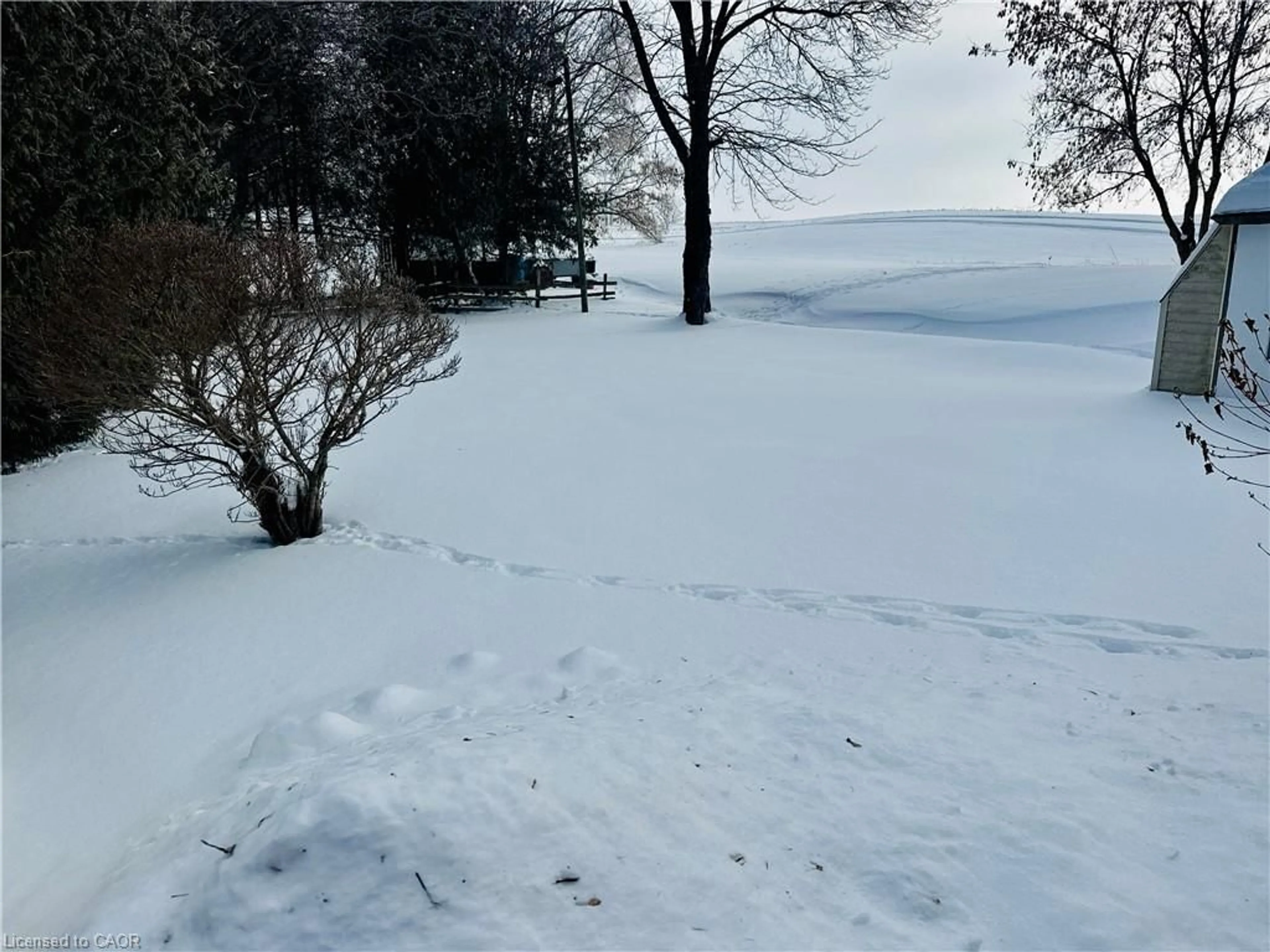 Blurry image for 85 Elm St, Simcoe Ontario N3Y 3B7