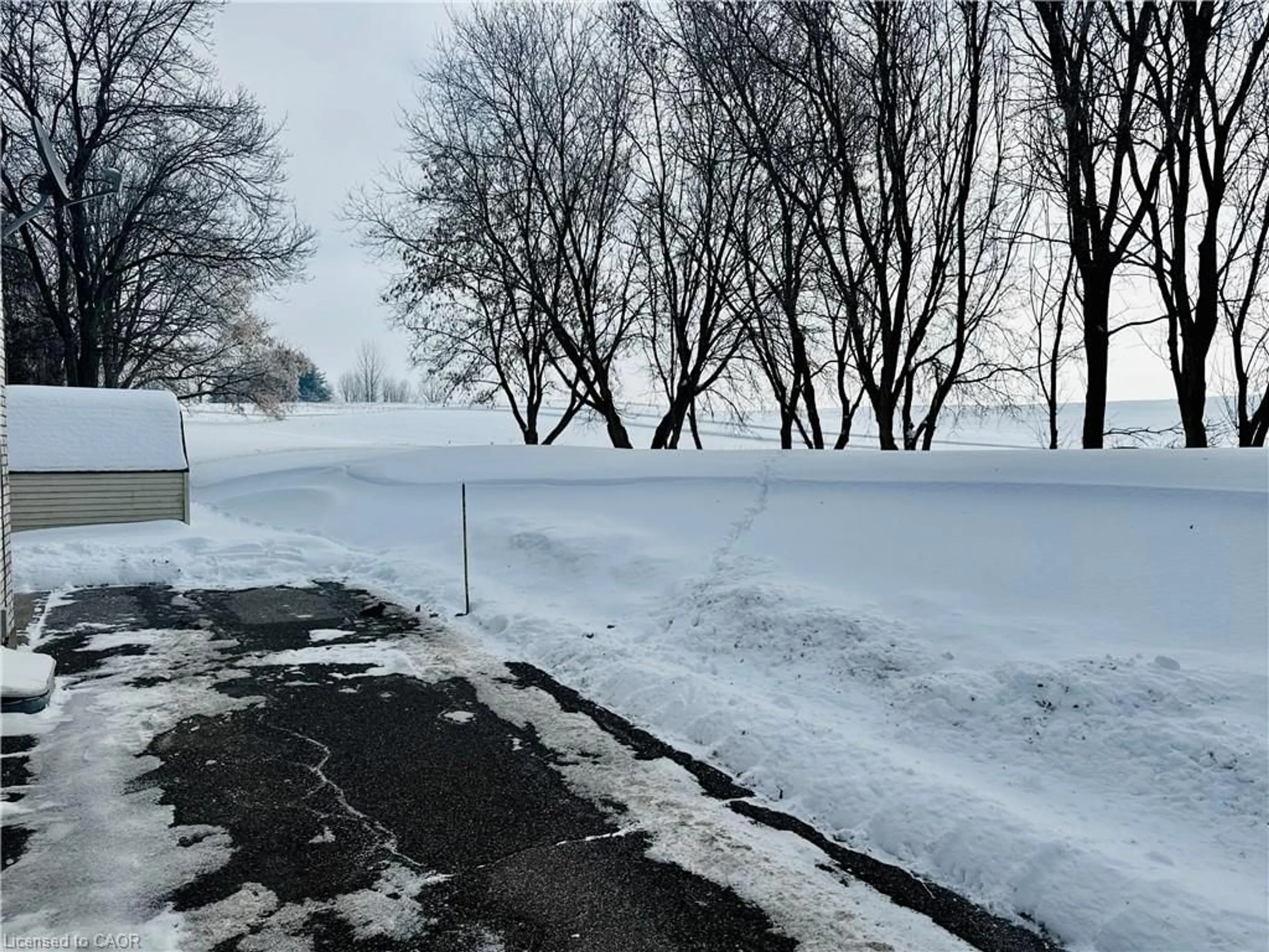 Parking for 85 Elm St, Simcoe Ontario N3Y 3B7