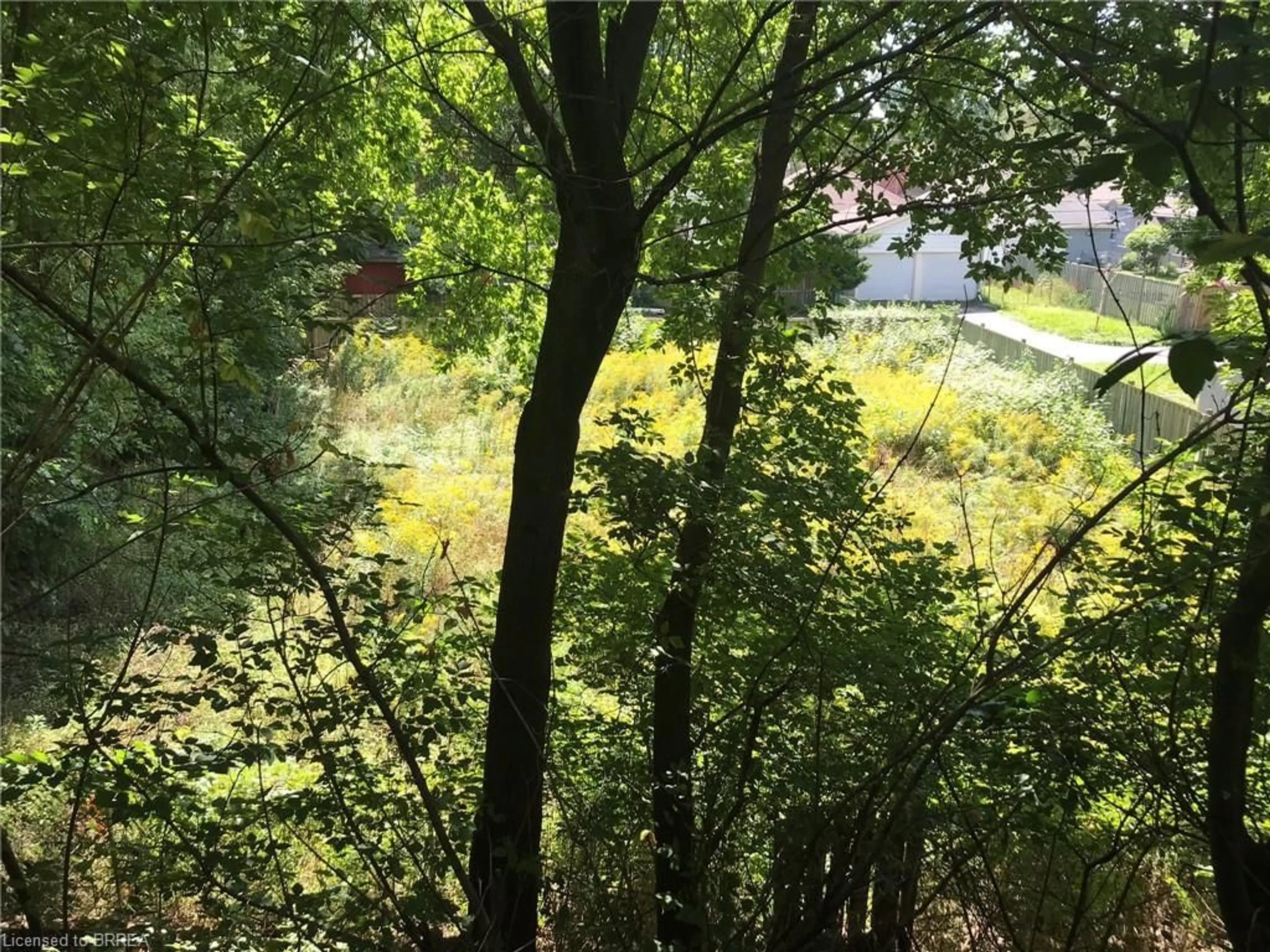 A pic from outside/outdoor area/front of a property/back of a property/a pic from drone, forest/trees view for 38 Brock Lane, Brantford Ontario N3S 4Y6