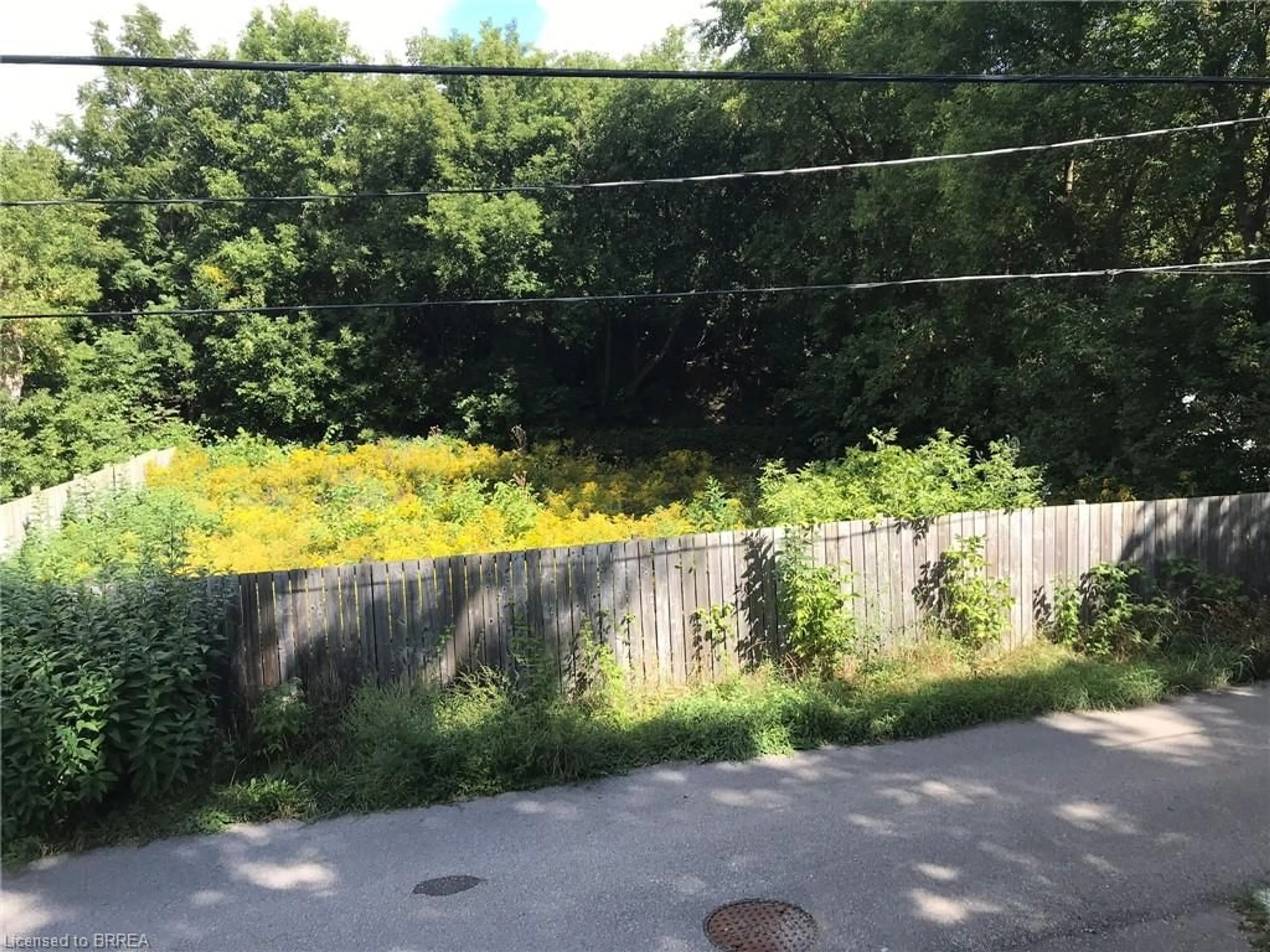 A pic from outside/outdoor area/front of a property/back of a property/a pic from drone, forest/trees view for 38 Brock Lane, Brantford Ontario N3S 4Y6