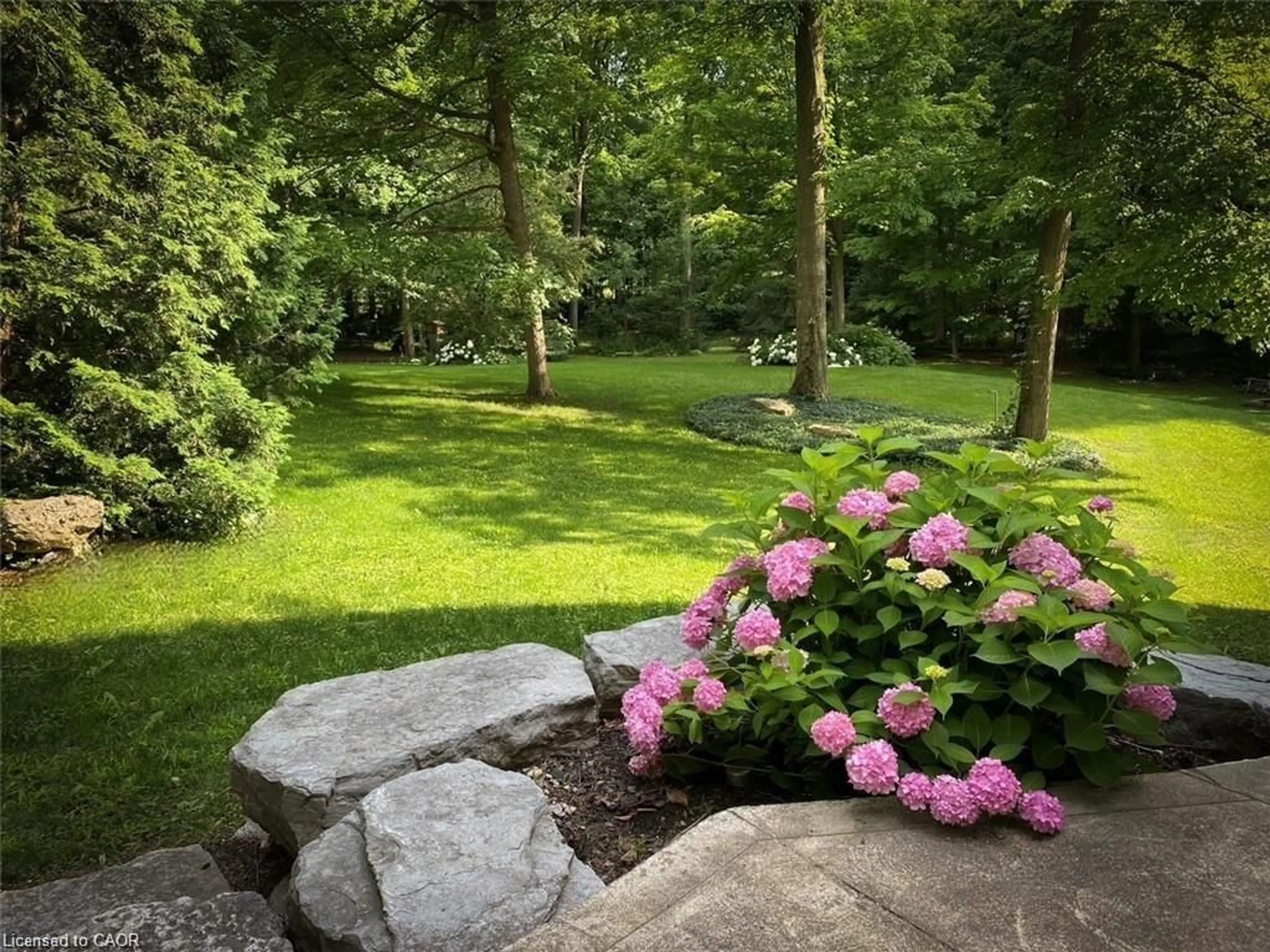 Patio, forest/trees view for 3314 Sandhills Rd, Baden Ontario N3A 3A7