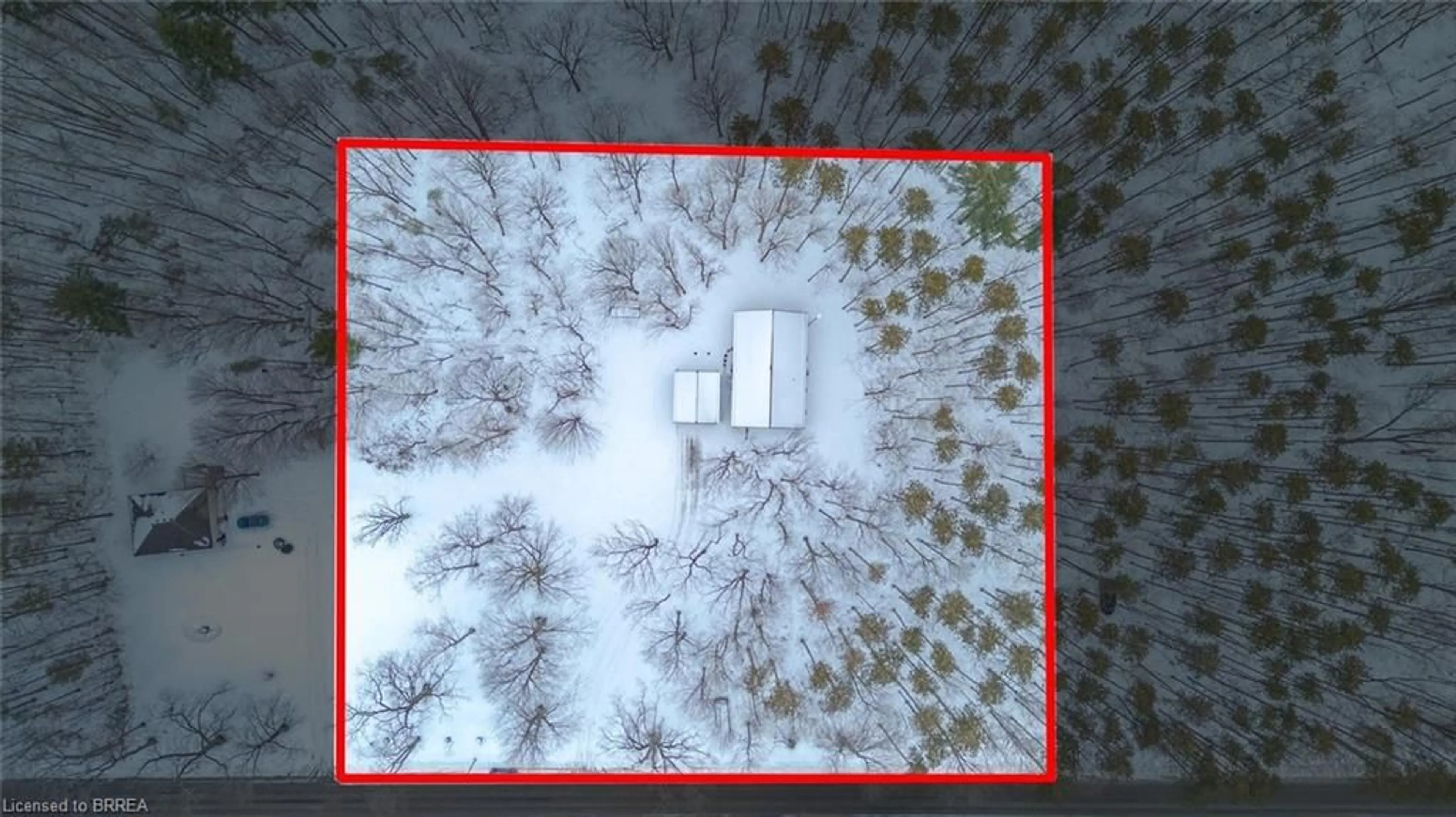 A pic from outside/outdoor area/front of a property/back of a property/a pic from drone, forest/trees view for 1498 12th Concession Rd, Langton Ontario N0E 1G0