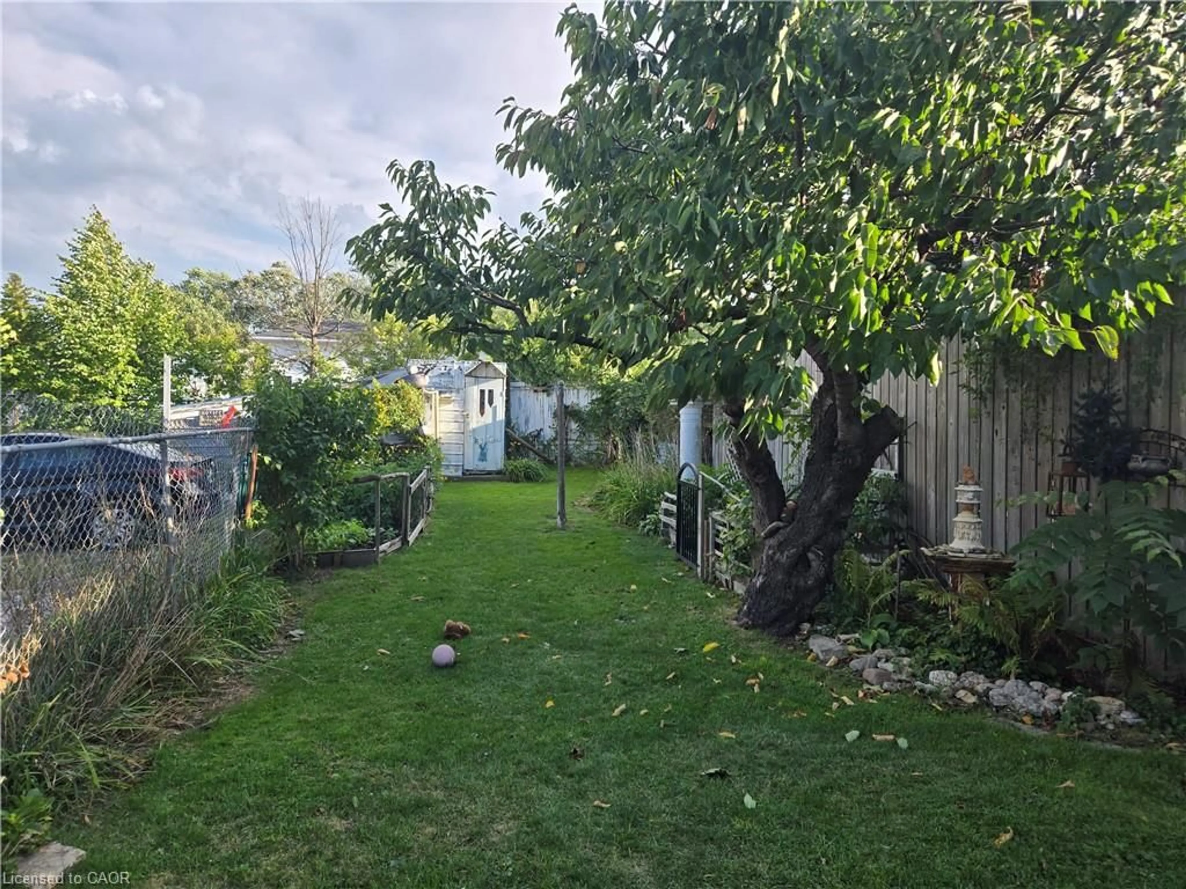 A pic from outside/outdoor area/front of a property/back of a property/a pic from drone, street for 13 Talbot St, Cayuga Ontario N0A 1E0
