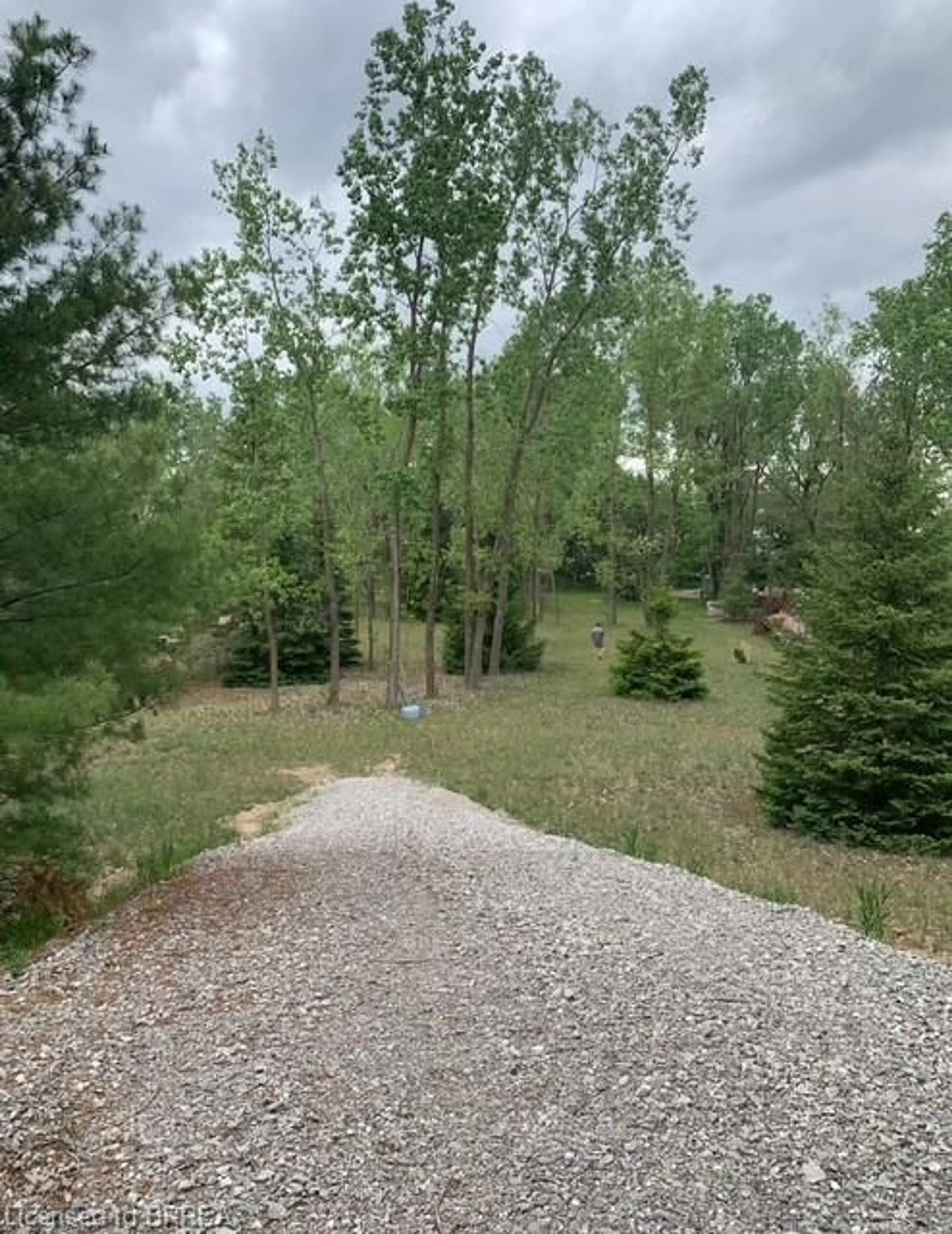 A pic from outside/outdoor area/front of a property/back of a property/a pic from drone, forest/trees view for 465 Concession 5 Townsend Rd, Dundurn Ontario N0E 1Y0