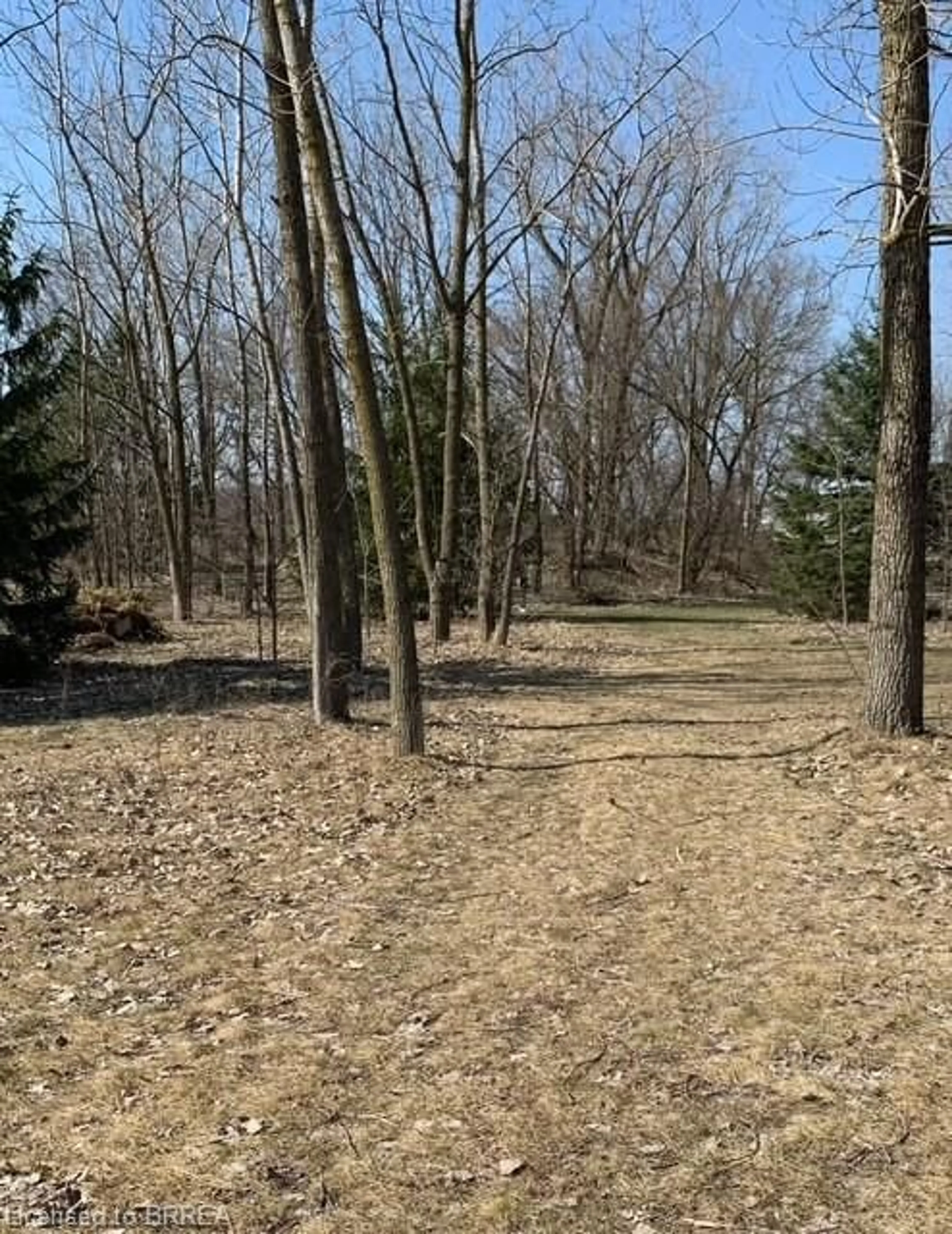 A pic from outside/outdoor area/front of a property/back of a property/a pic from drone, forest/trees view for 465 Concession 5 Townsend Rd, Dundurn Ontario N0E 1Y0