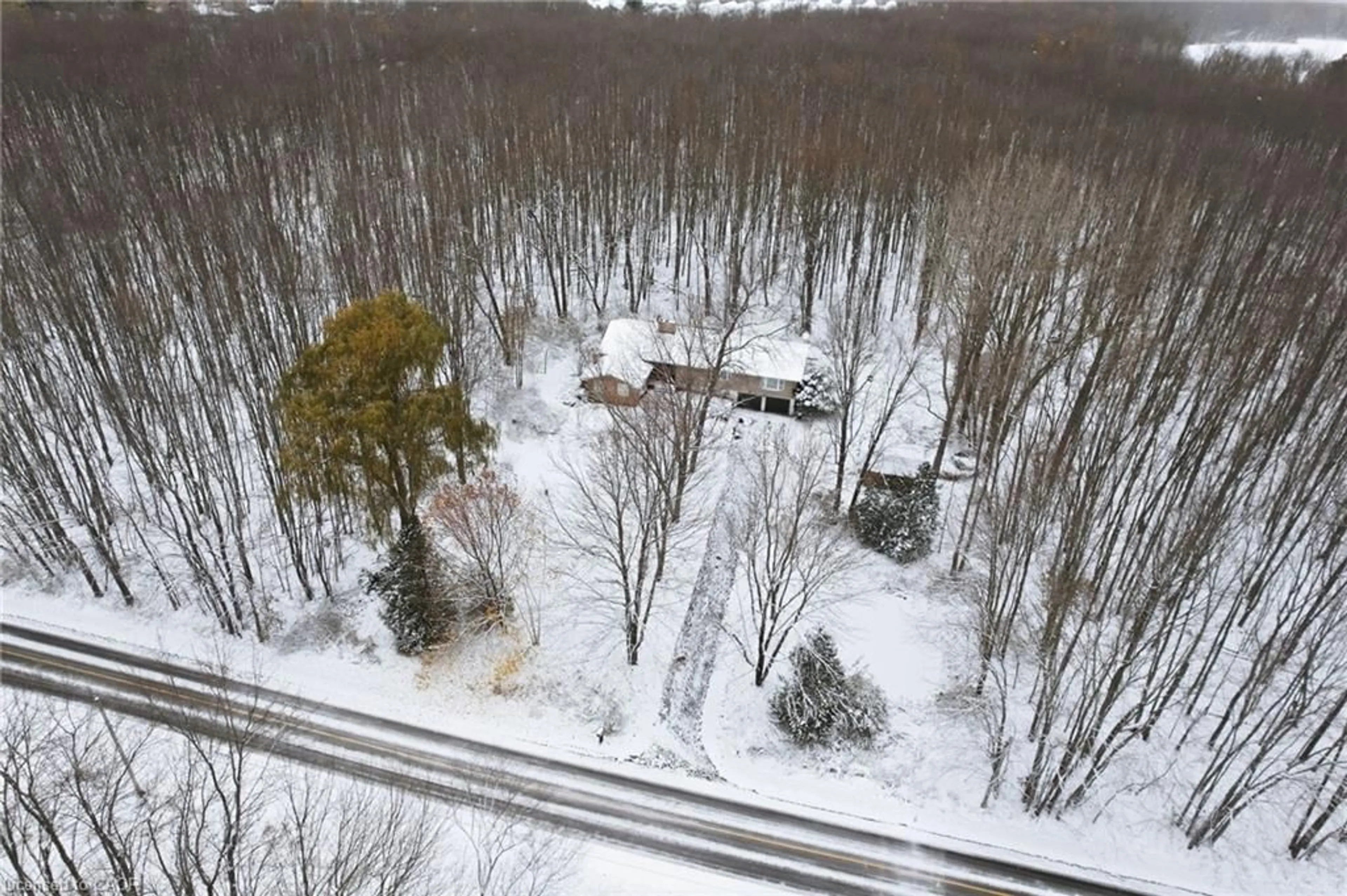 A pic from outside/outdoor area/front of a property/back of a property/a pic from drone, forest/trees view for 563 6th Concession Rd, Millgrove Ontario L8B 1N2