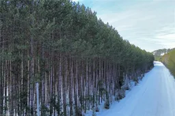 history photo preview