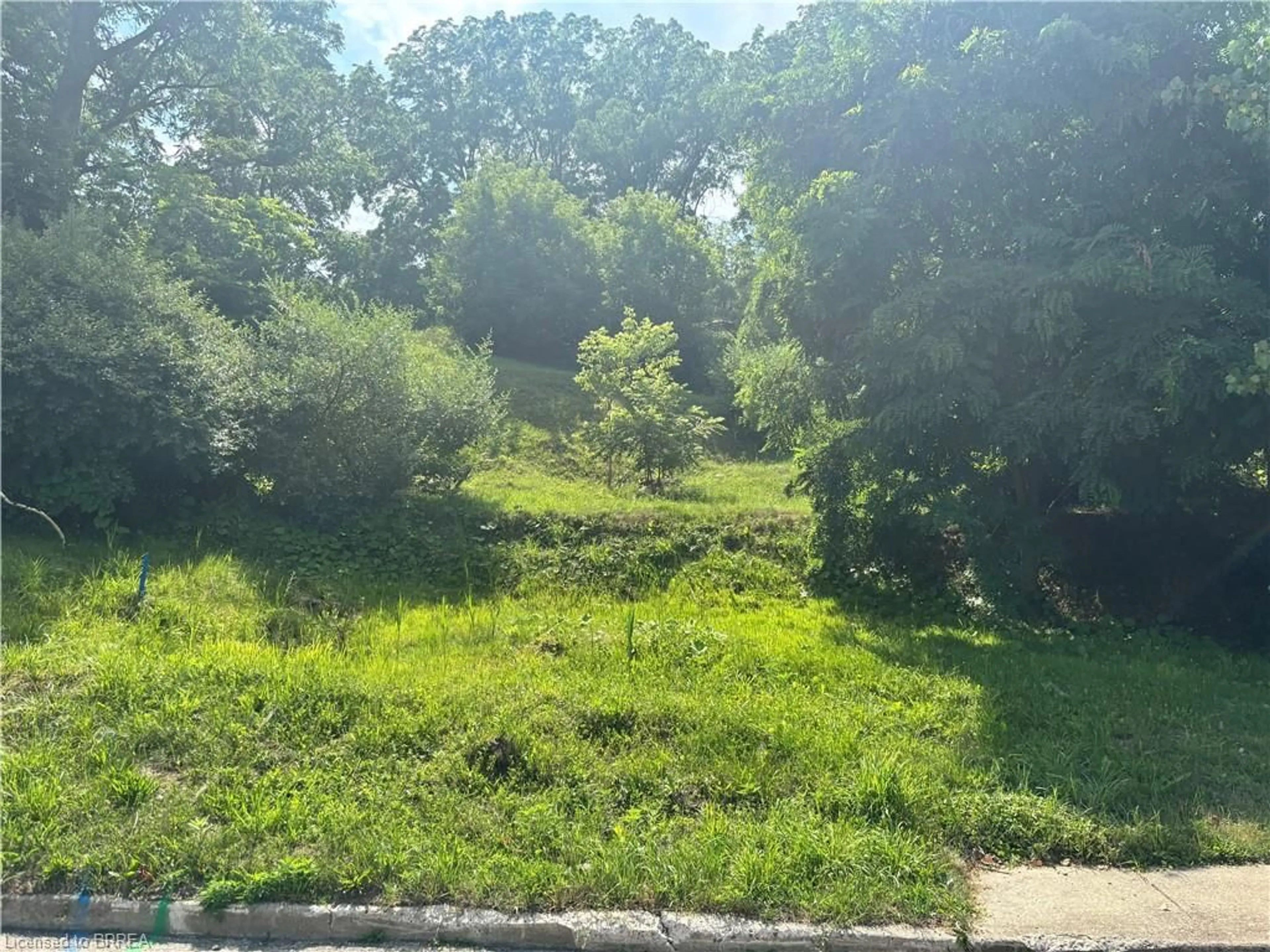 A pic from outside/outdoor area/front of a property/back of a property/a pic from drone, forest/trees view for 89 Dumfries St, Paris Ontario N3L 2E5