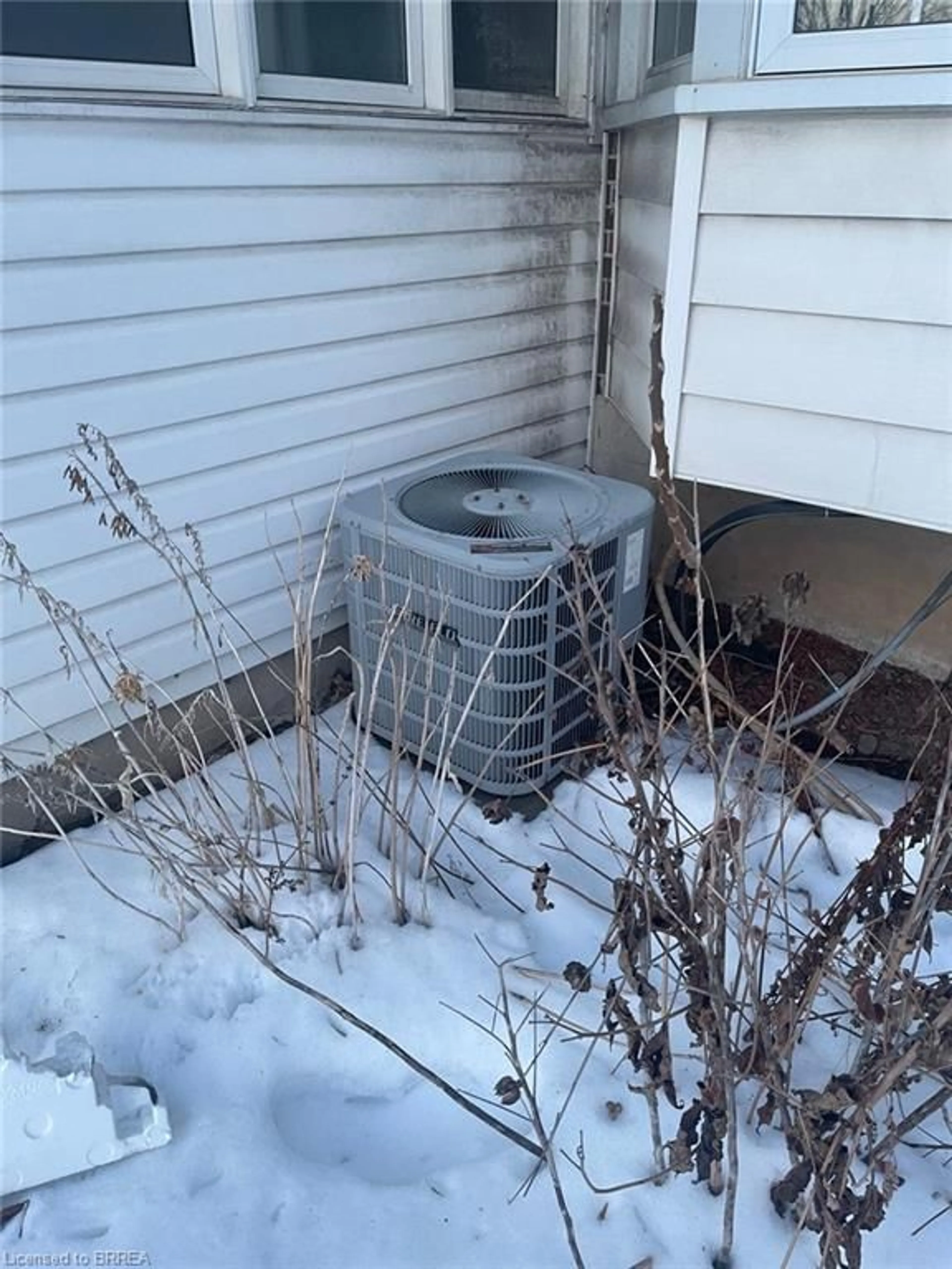 Patio, street for 258 Wellington Rd, London Ontario N6C 4N5