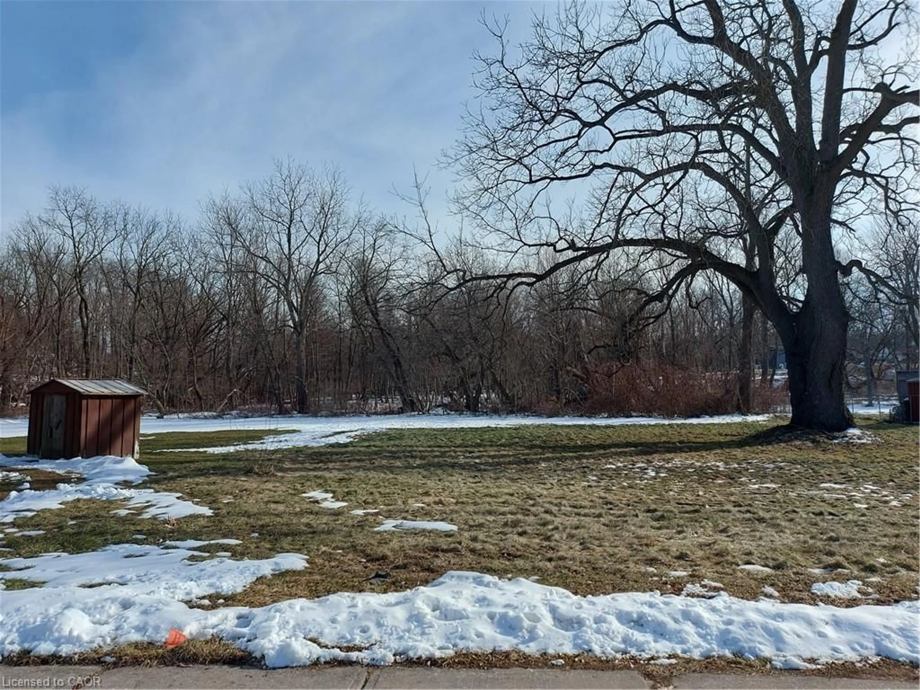 Blurry image for 78 Patterson St, Simcoe Ontario N3Y 1J3