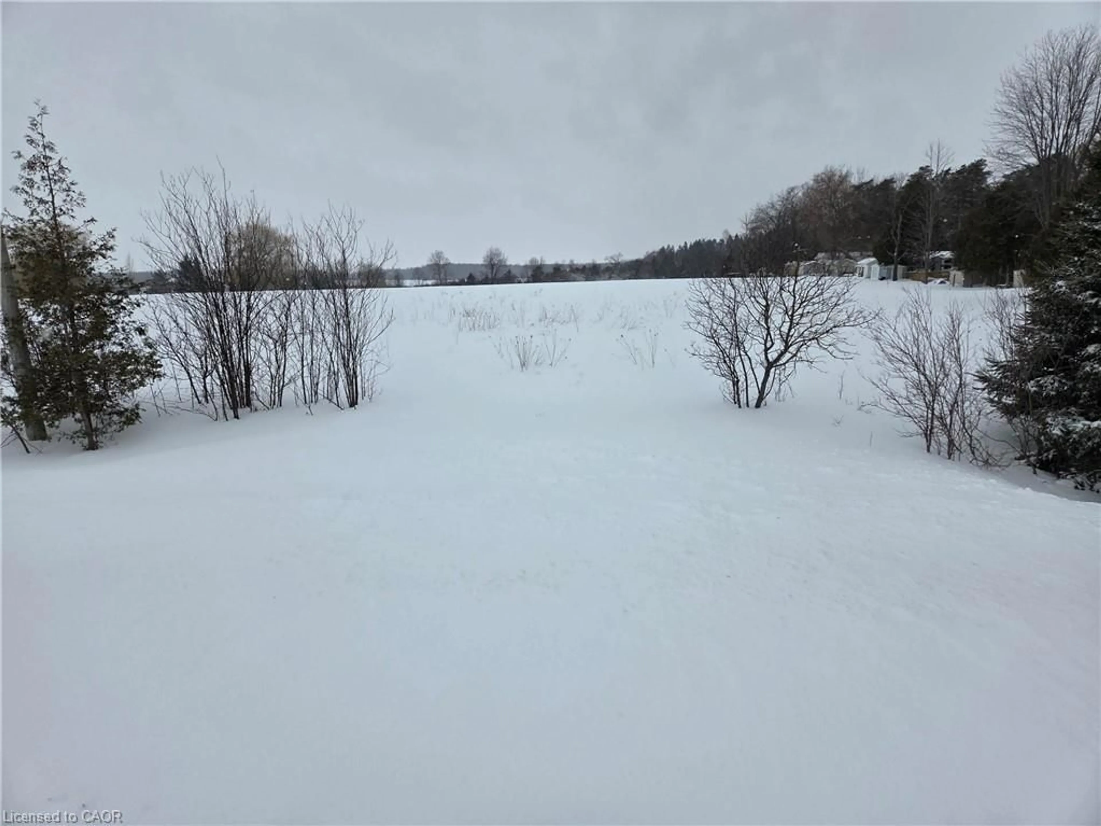 Blurry image for 8758 Concession 9, Arthur Ontario N0G 1A0