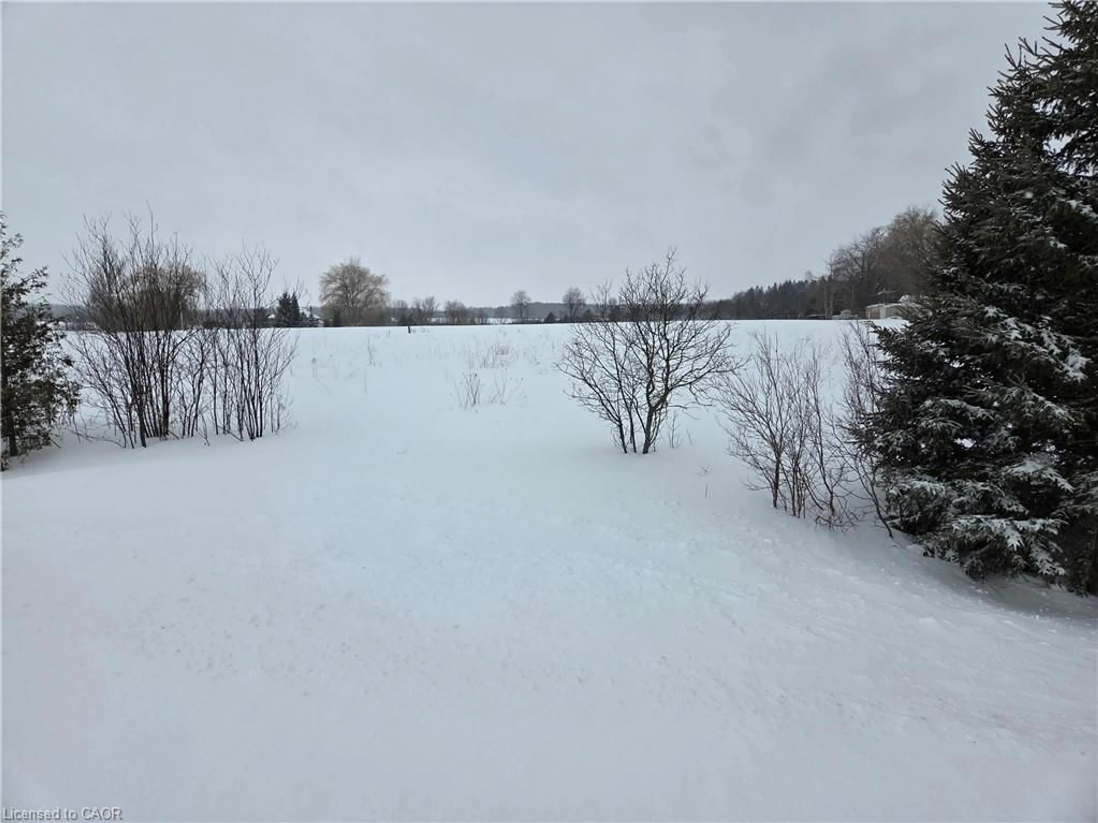 Blurry image for 8758 Concession 9, Arthur Ontario N0G 1A0