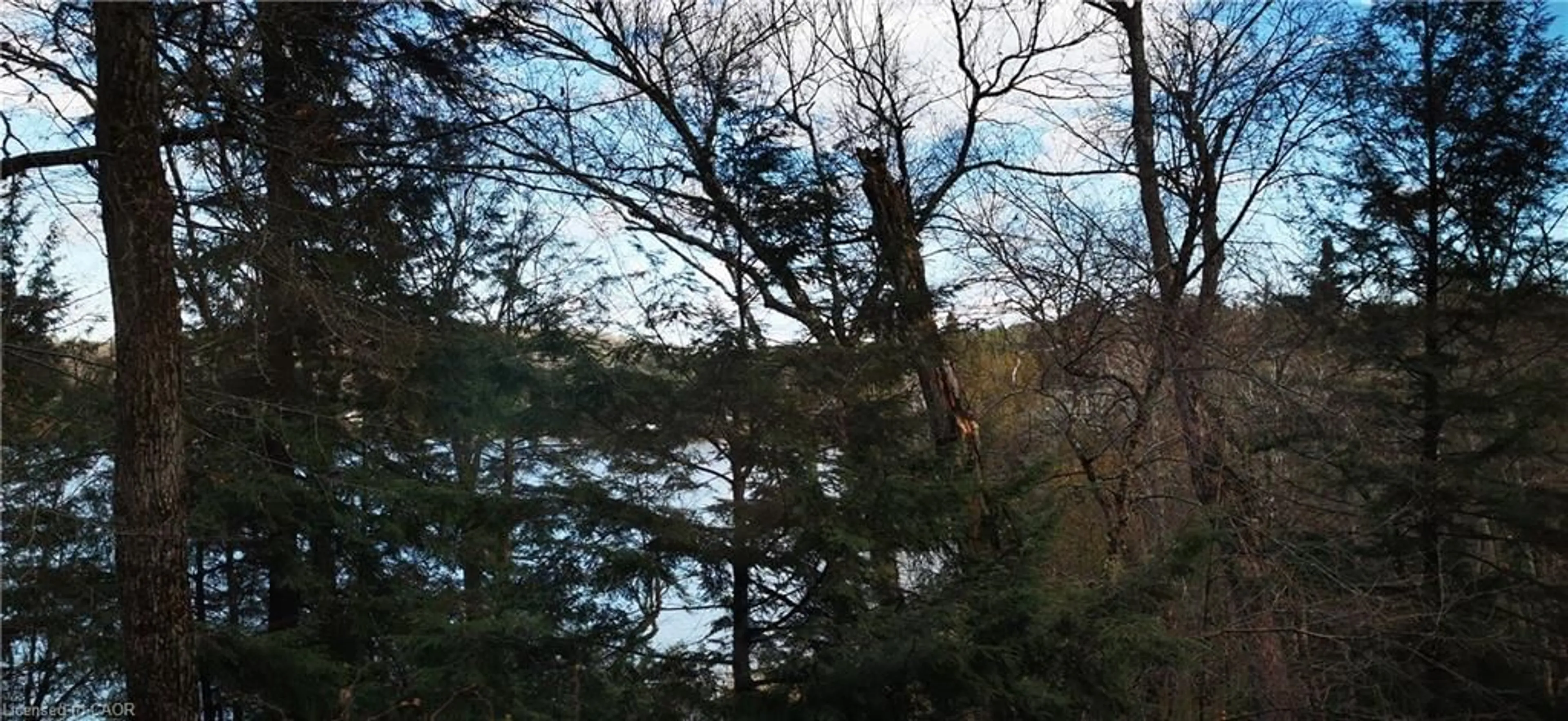 Blurry image for 0 Echo Bay Rd, Dwight Ontario P0A 1H0