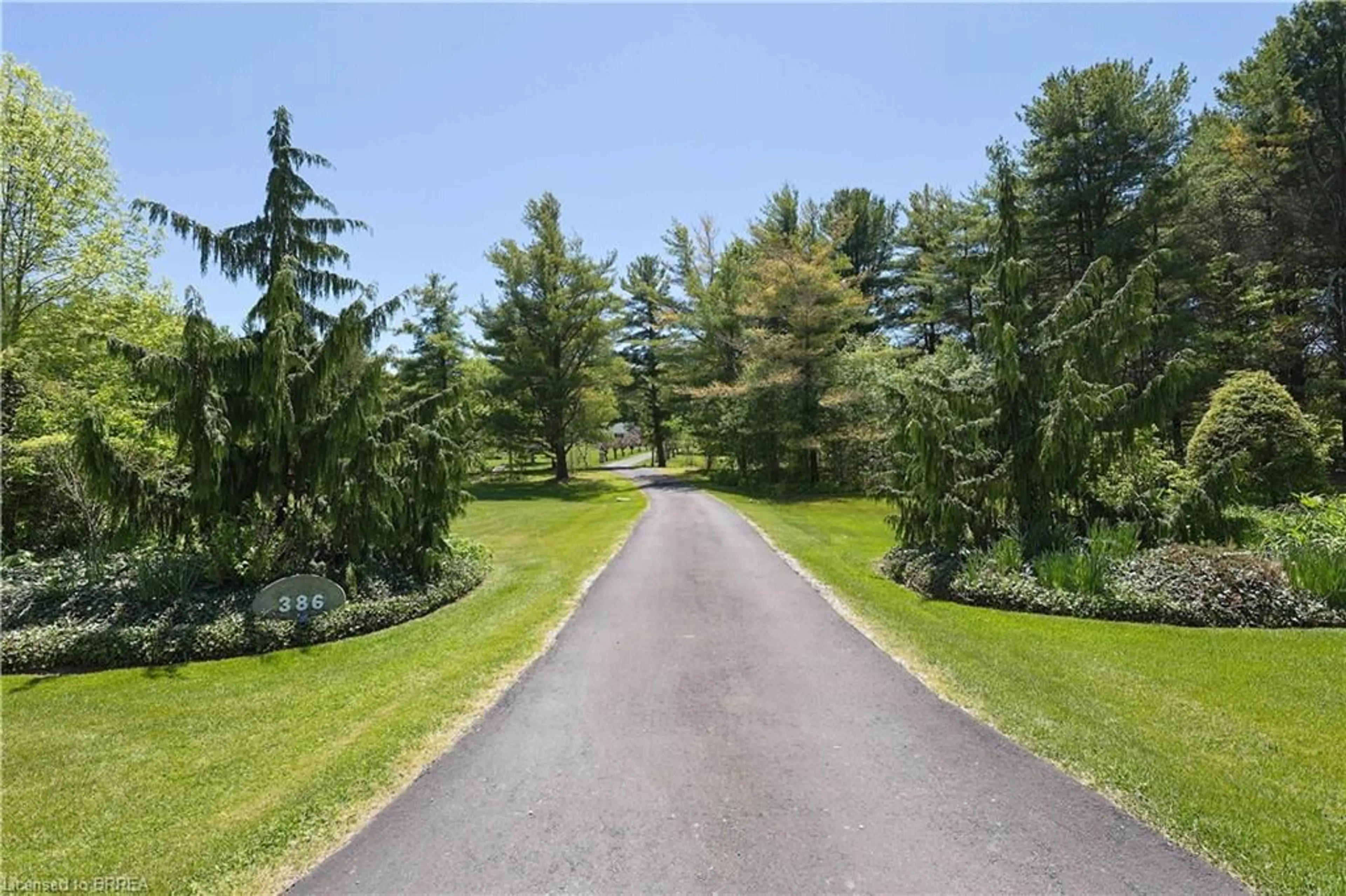 Patio, forest/trees view for 386 Radical Rd, Port Dover Ontario N4Y 4K2