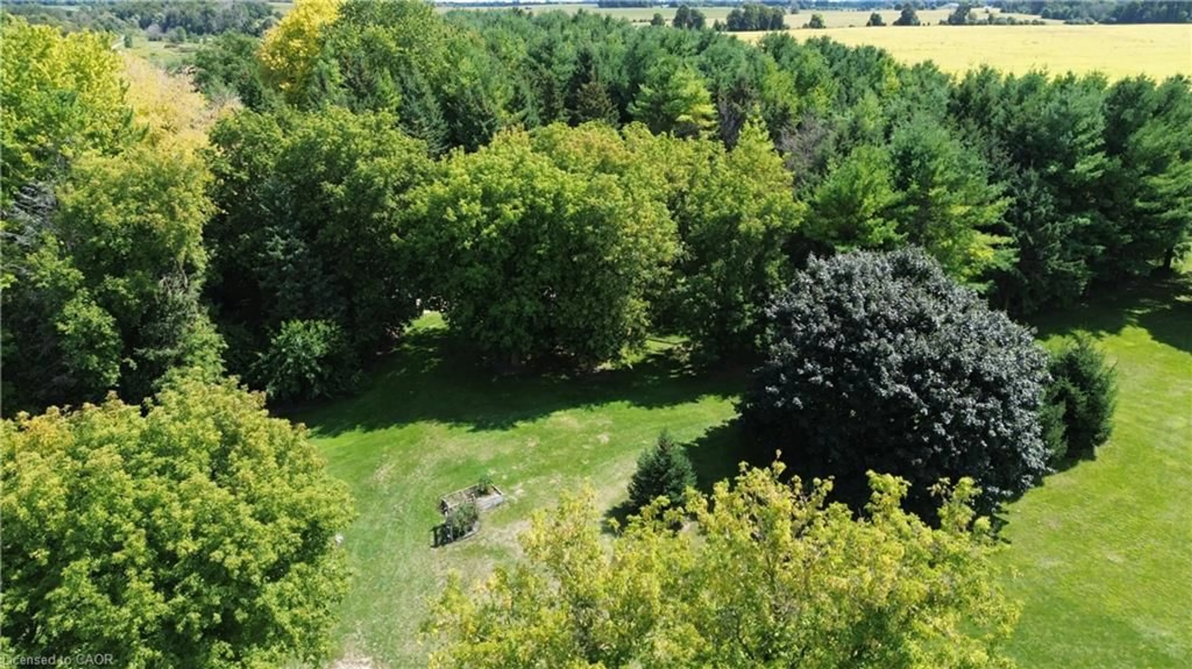 A pic from outside/outdoor area/front of a property/back of a property/a pic from drone, forest/trees view for 2081 John St, Howick Ontario N0G 1X0
