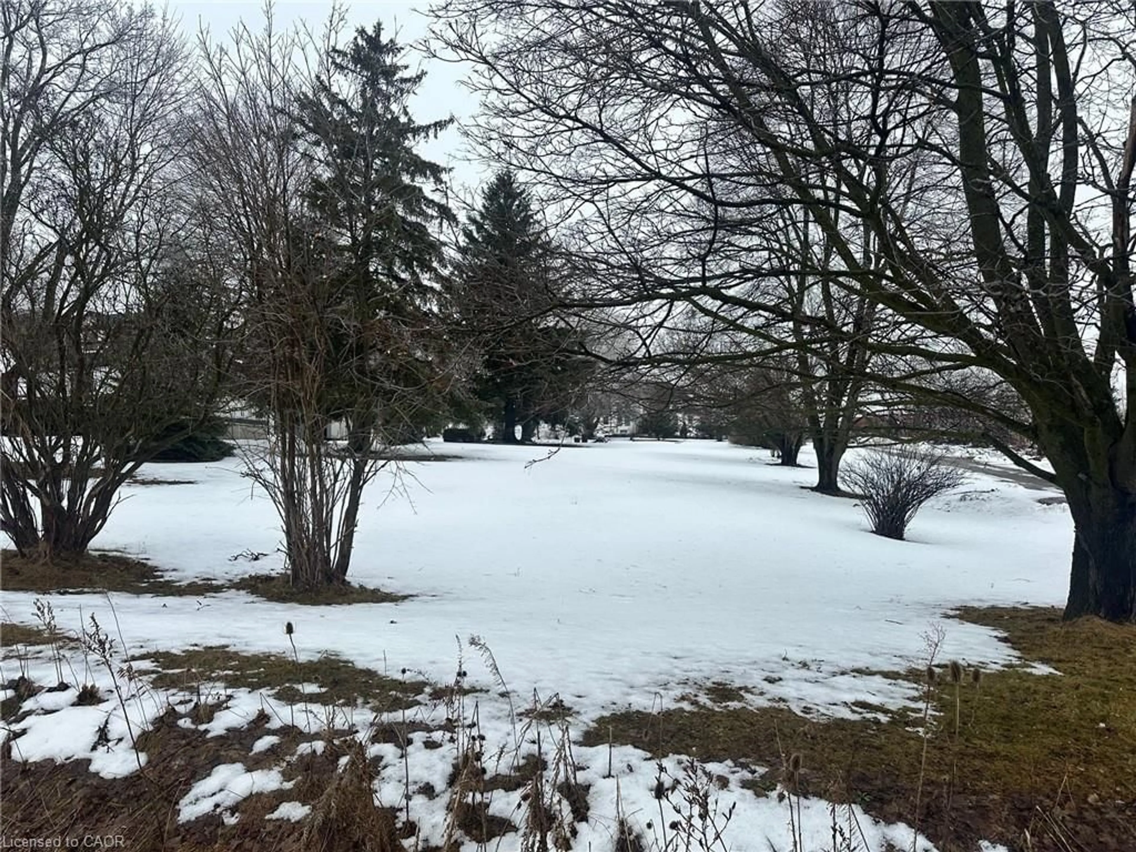 Blurry image for 303B Highway 5, St. George Ontario N0B 1E0