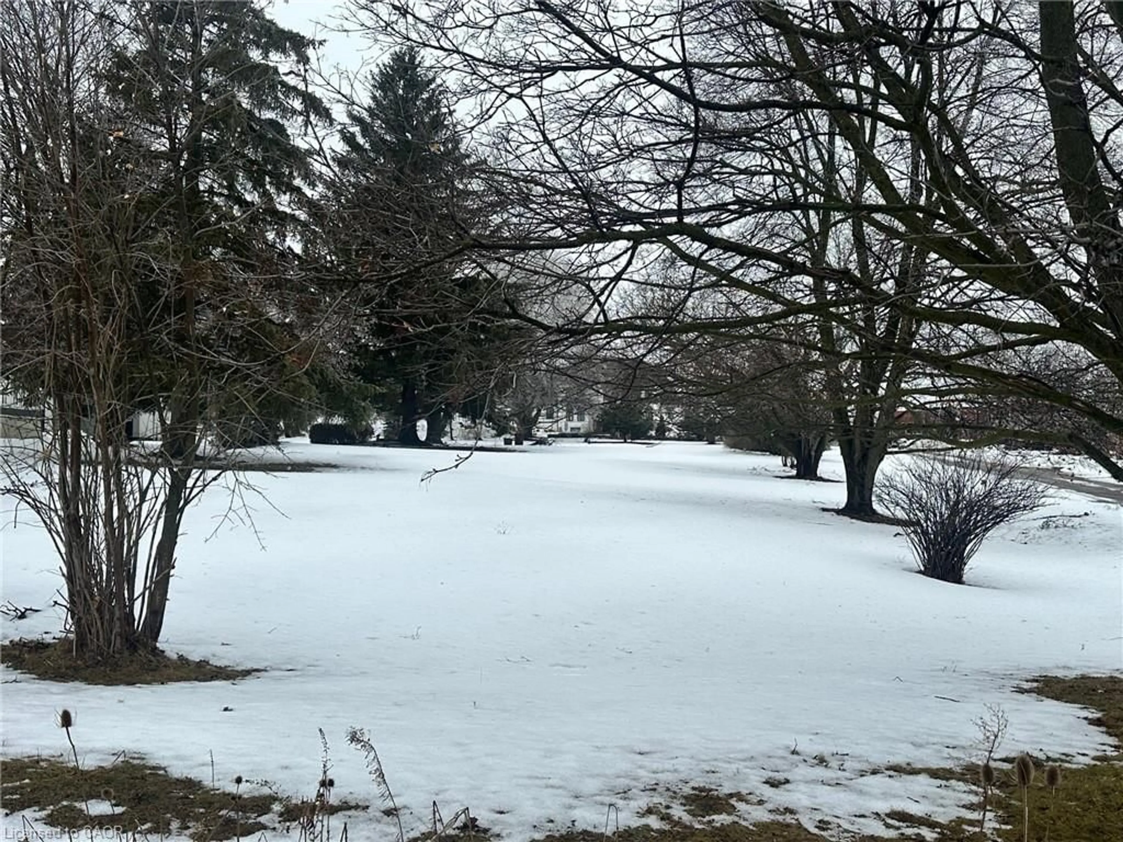 Blurry image for 303B Highway 5, St. George Ontario N0B 1E0