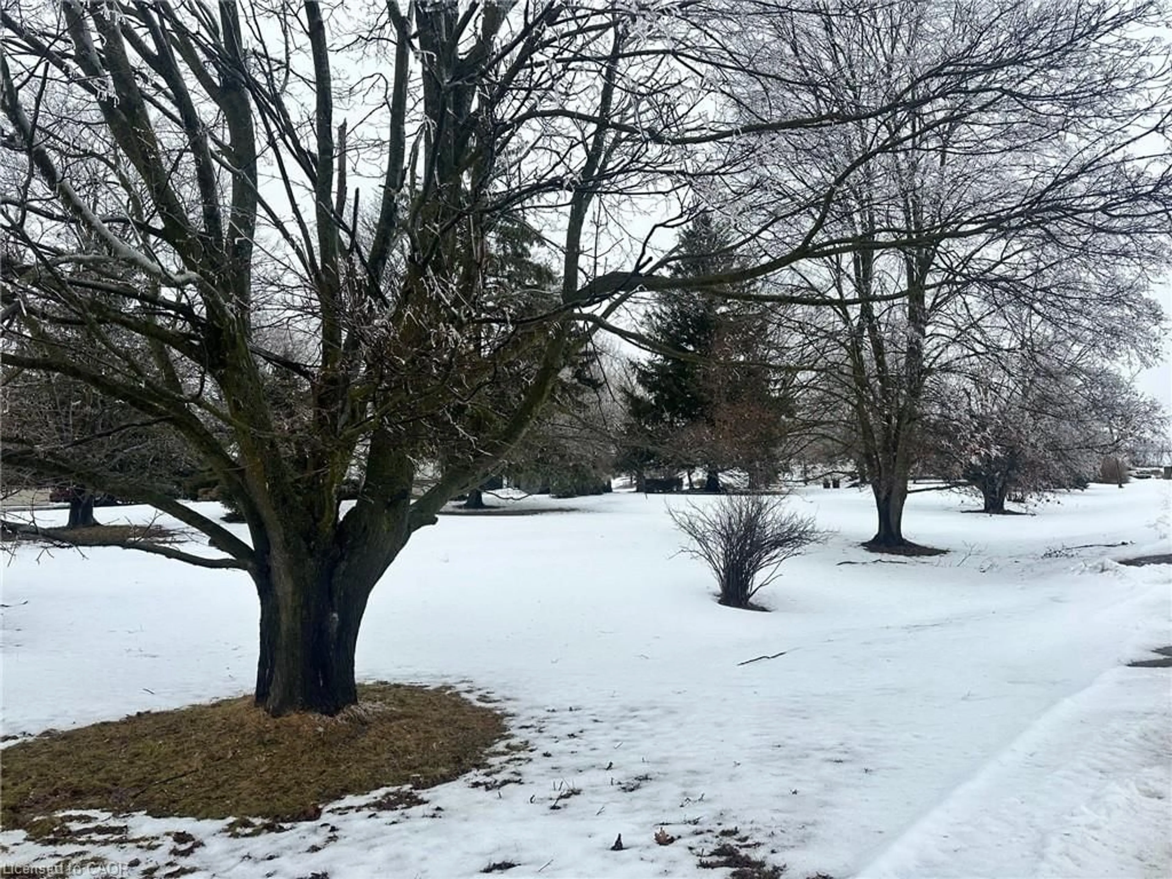 Blurry image for 303B Highway 5, St. George Ontario N0B 1E0