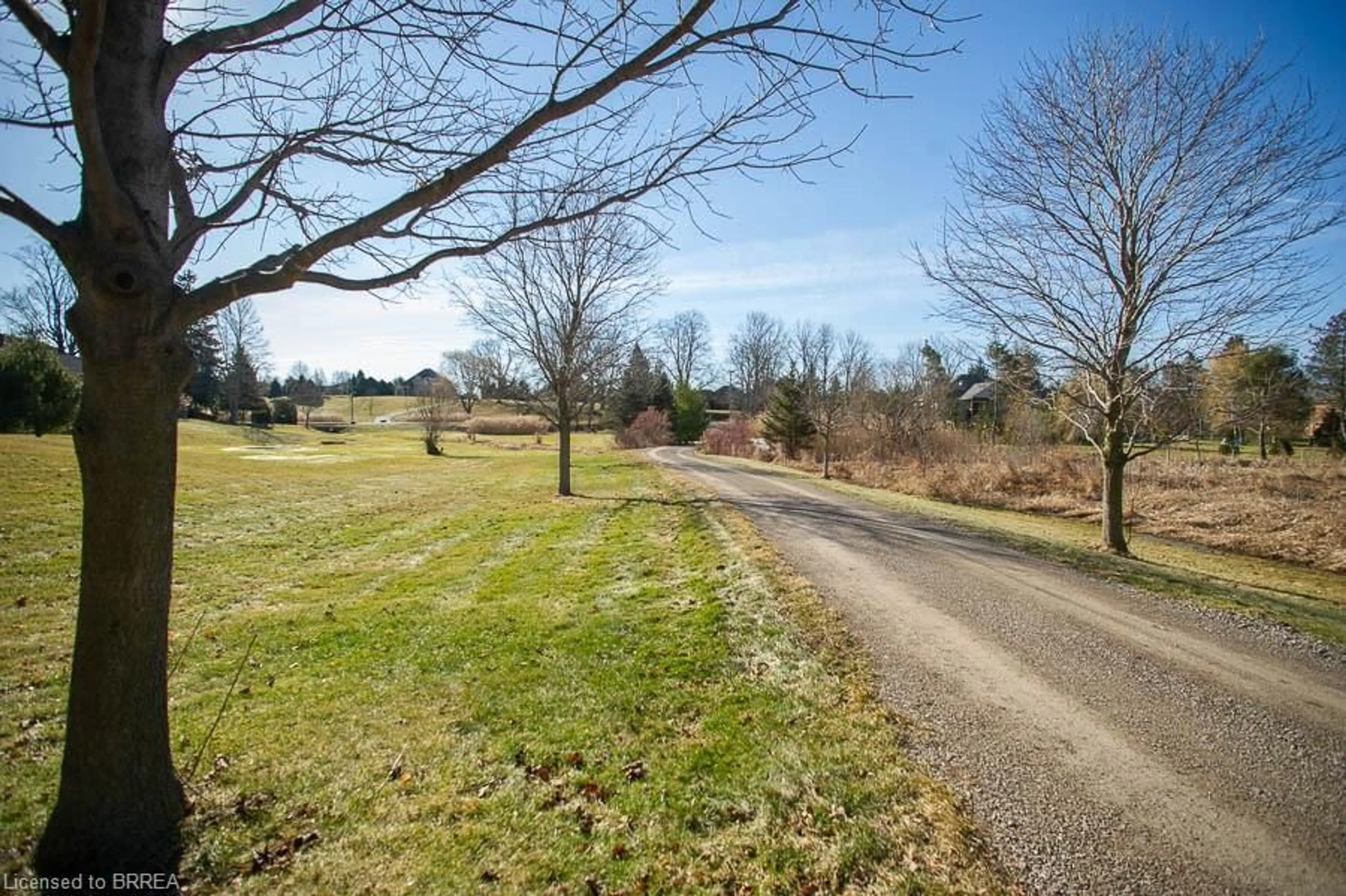A pic from outside/outdoor area/front of a property/back of a property/a pic from drone, forest/trees view for 171 German School Rd, St. George Ontario N3L 3E1