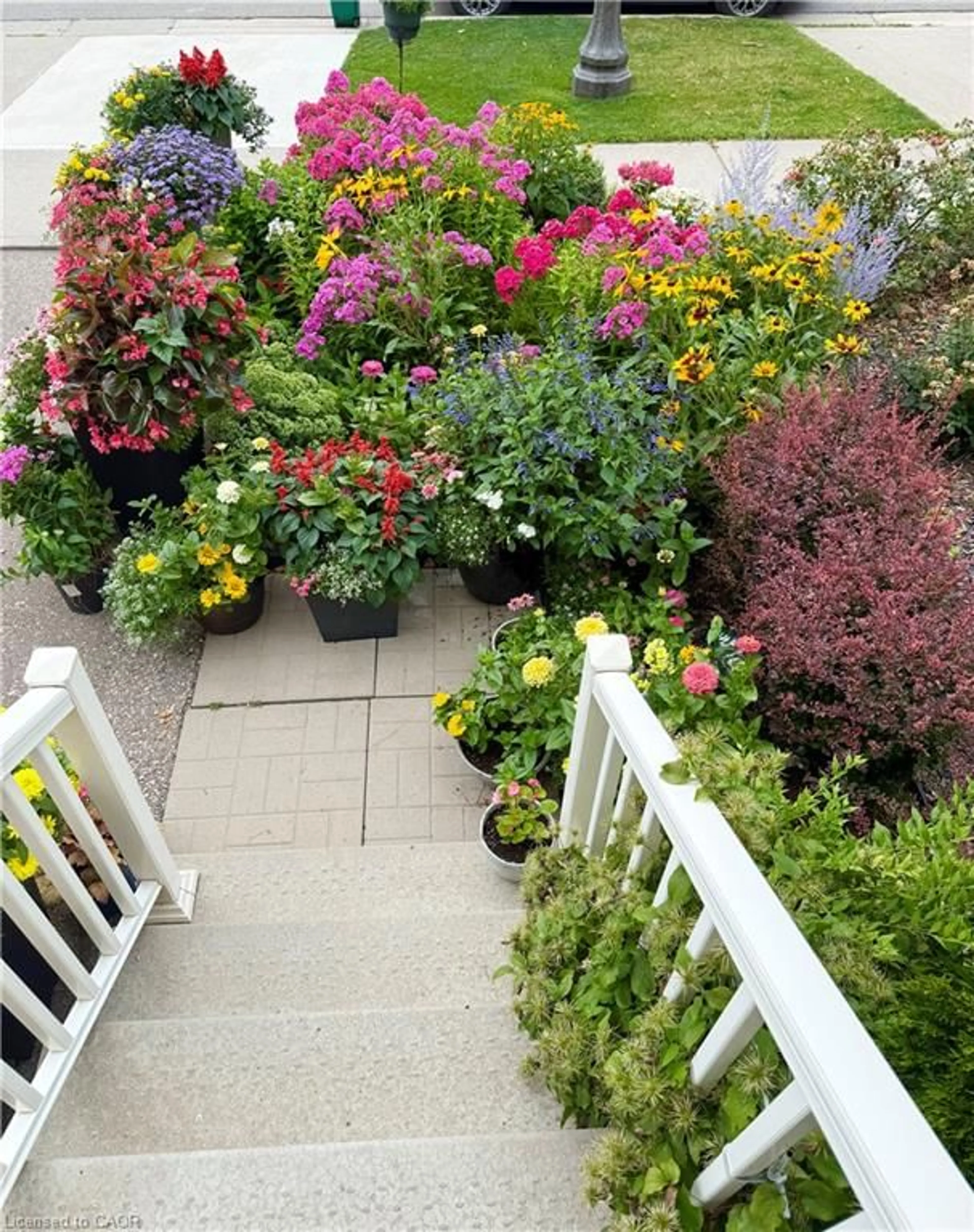 Patio, street for 27 Grand Flats Trail, Kitchener Ontario N2A 0H7