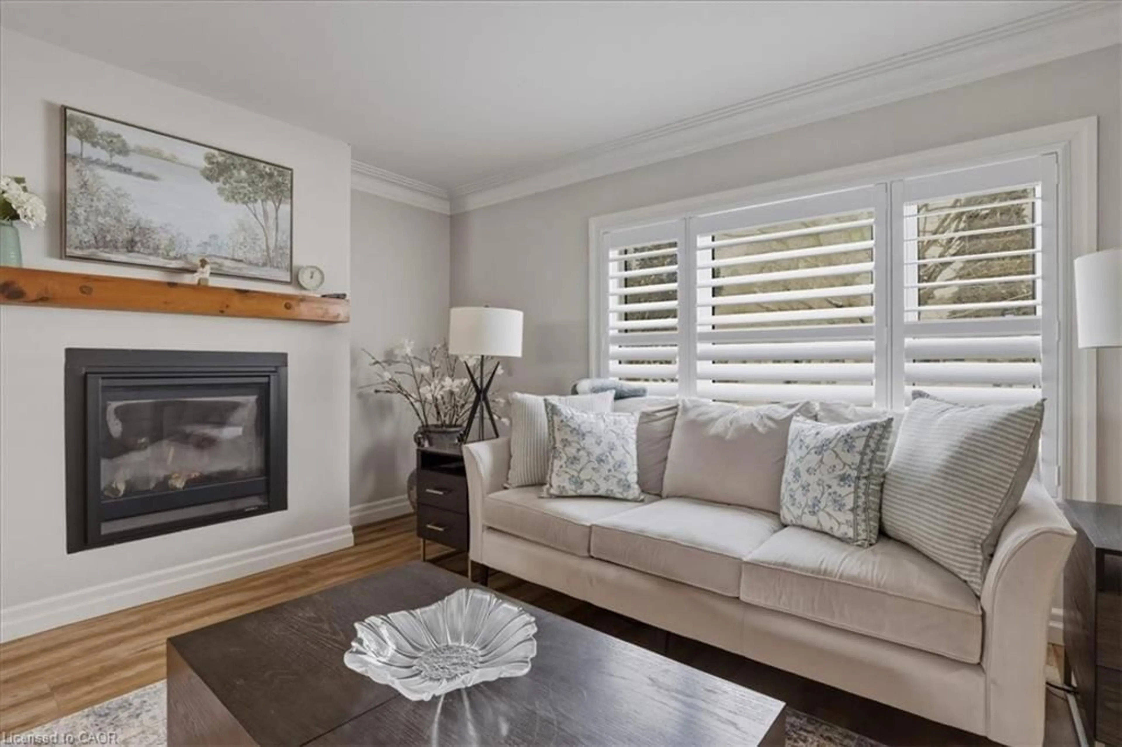 Living room with furniture, wood/laminate floor for 219 Union Blvd, Kitchener Ontario N2M 2S7