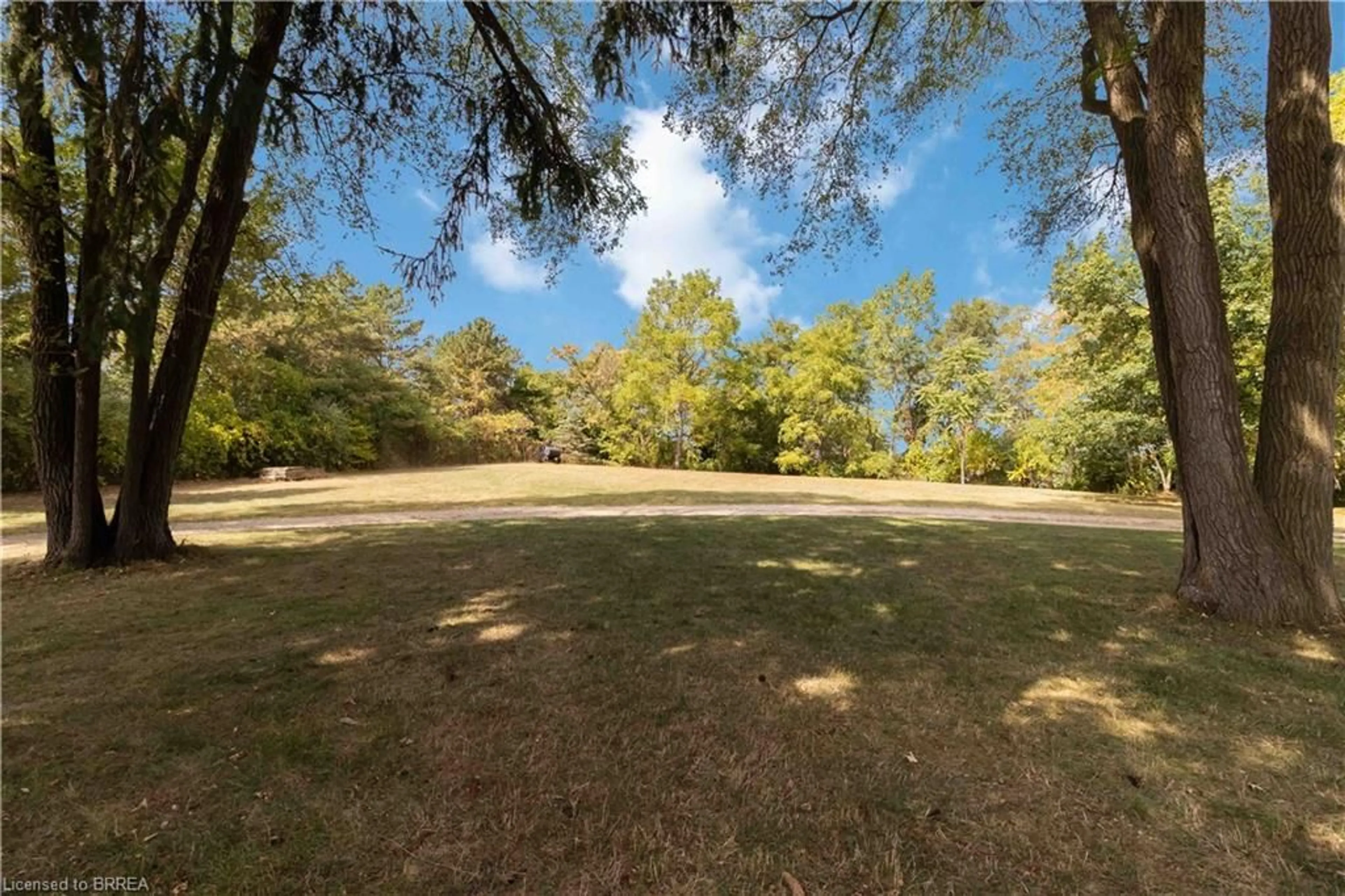 A pic from outside/outdoor area/front of a property/back of a property/a pic from drone, forest/trees view for 232 Paris Rd, Brantford Ontario N3R 1J4