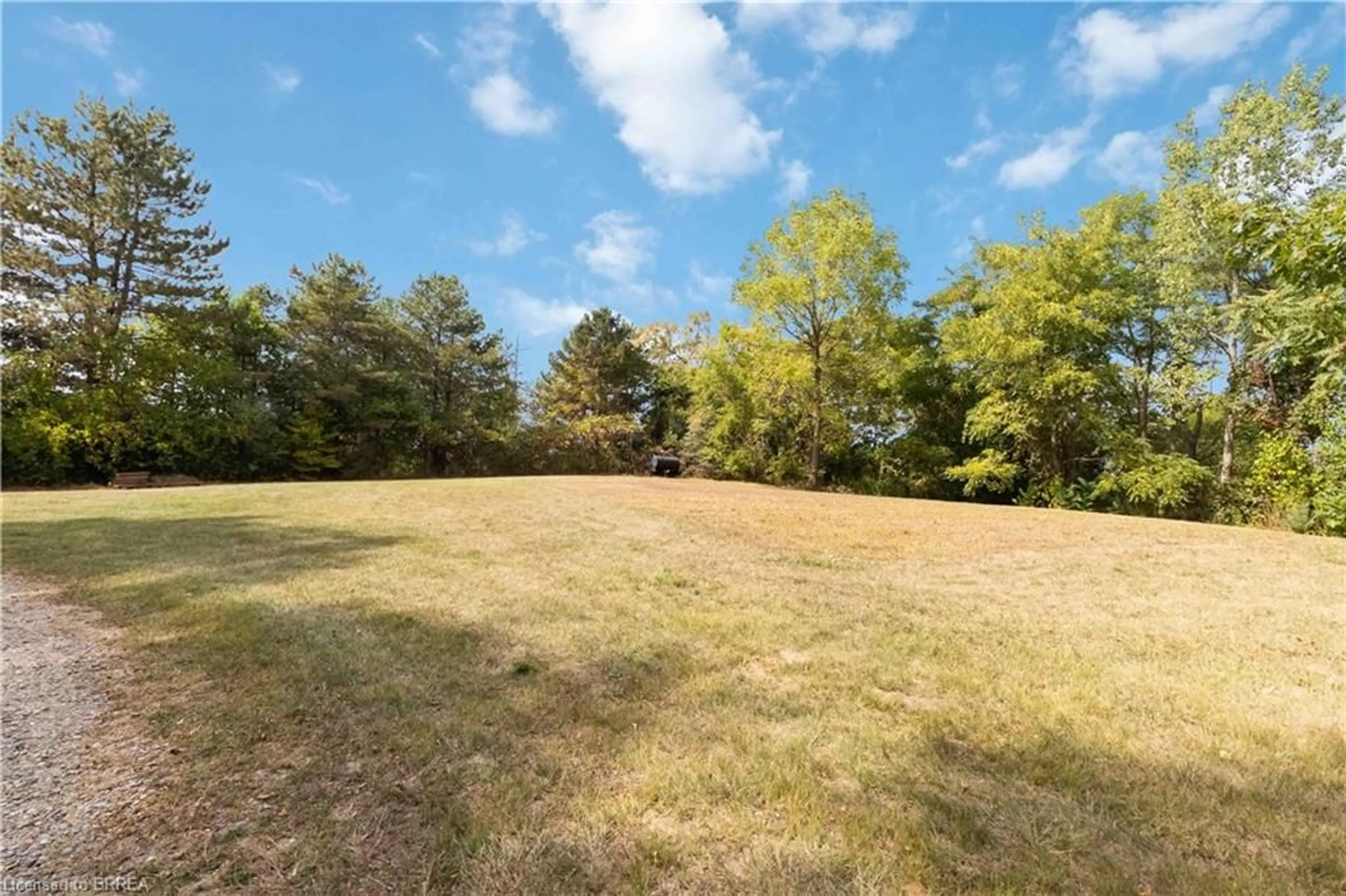 A pic from outside/outdoor area/front of a property/back of a property/a pic from drone, forest/trees view for 232 Paris Rd, Brantford Ontario N3R 1J4