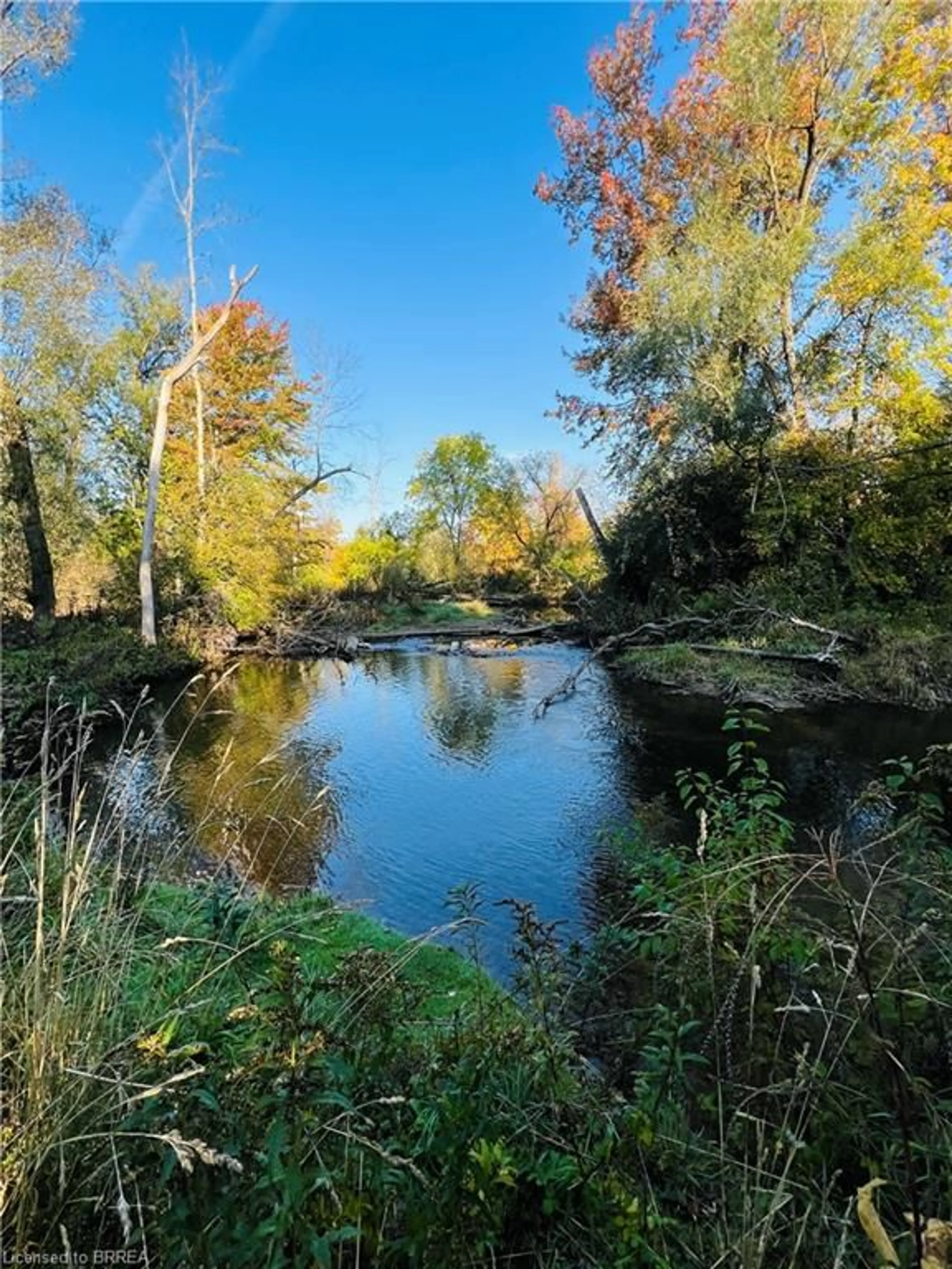 Unknown for 56 Sixth Concession Rd, Burford Ontario N3T 5L7