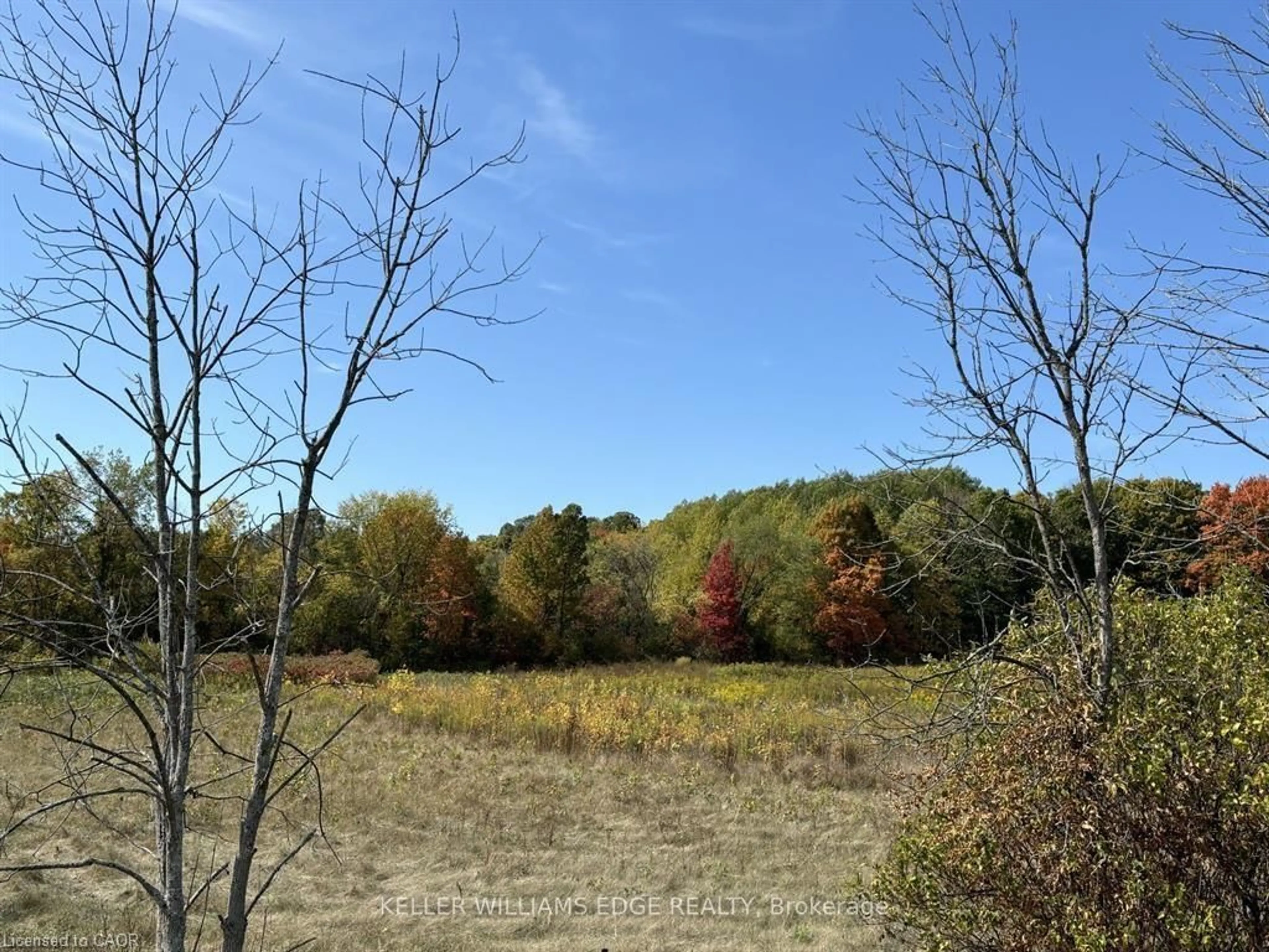 A pic from outside/outdoor area/front of a property/back of a property/a pic from drone, forest/trees view for 0 County Road 16, Stone Mills Ontario K7R 3L2