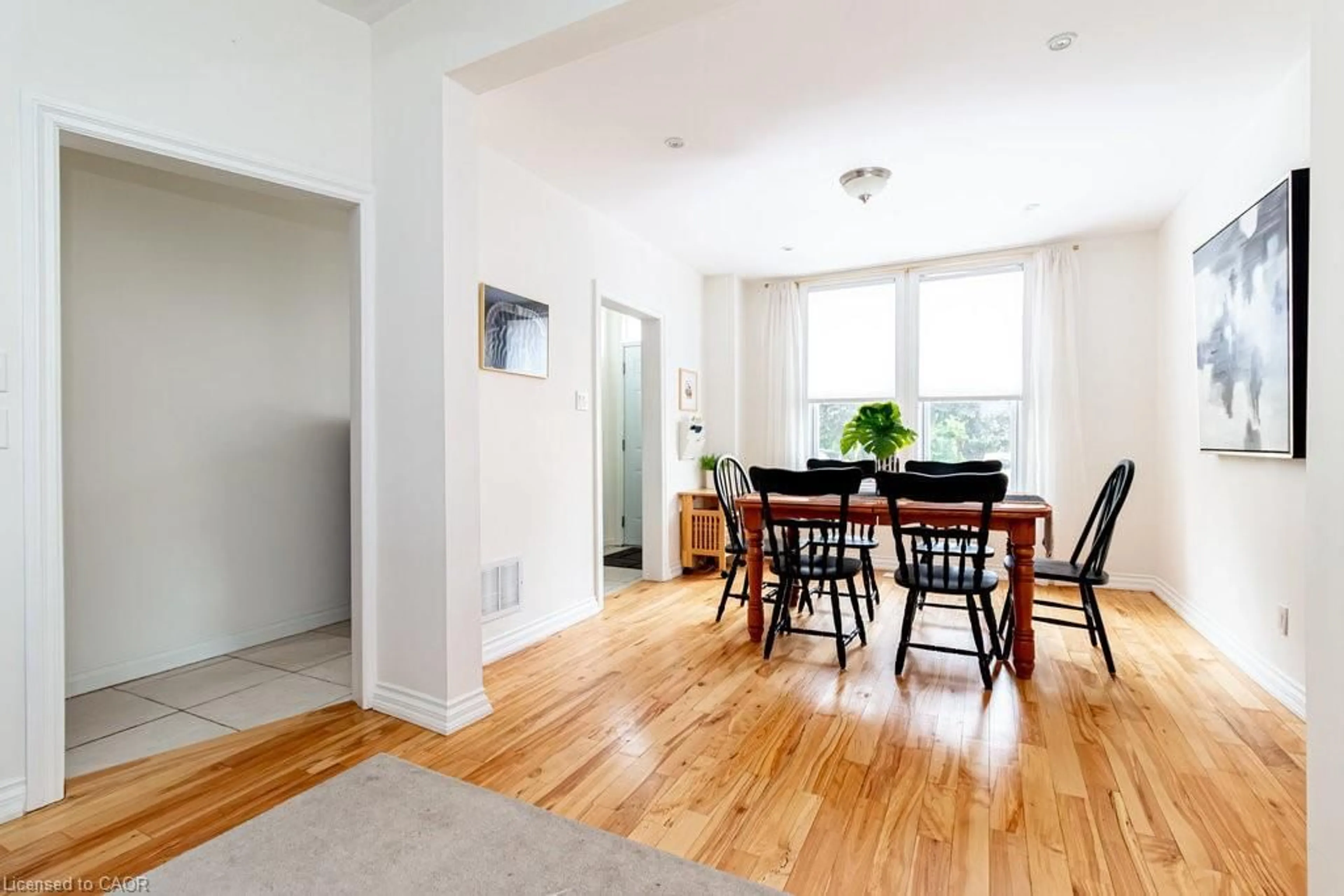 Dining room, wood/laminate floor for 49 Sheaffe St, Hamilton Ontario L8R 2E8