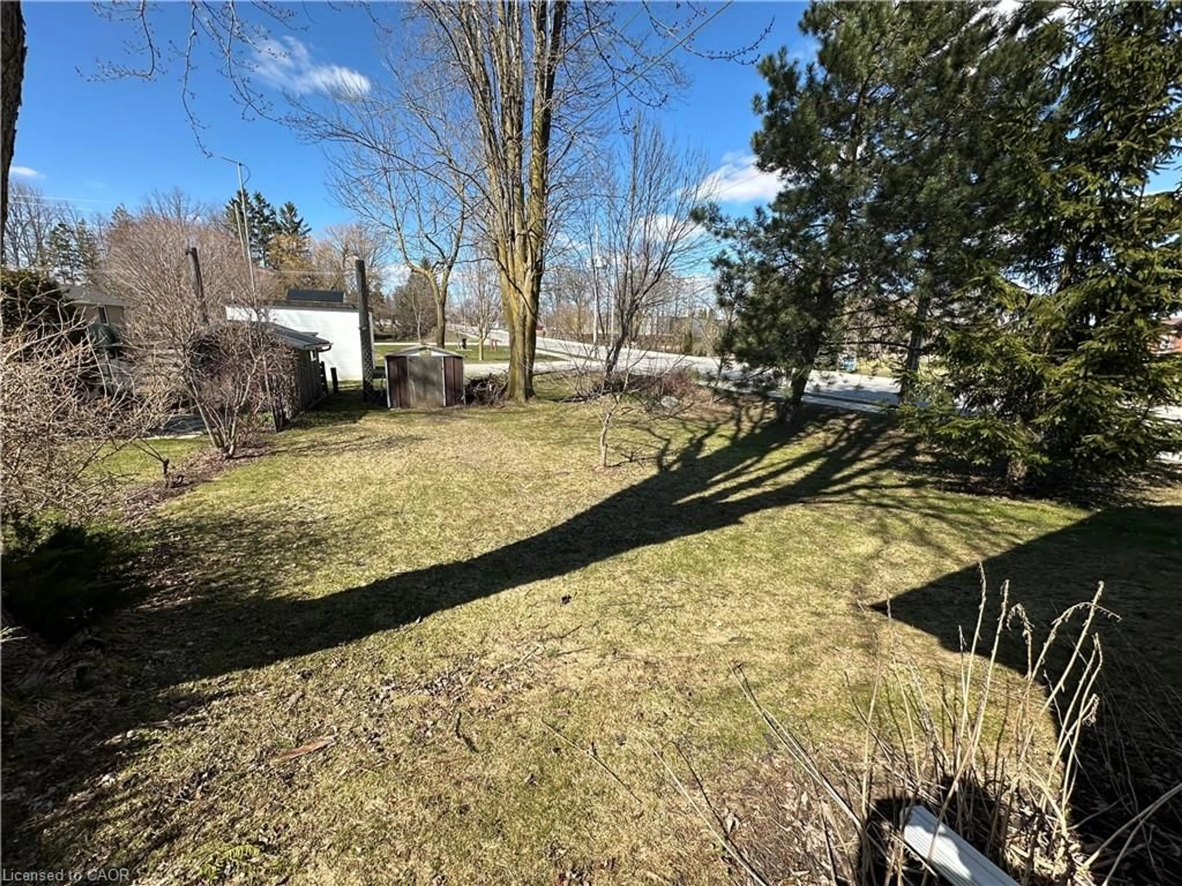 A pic from outside/outdoor area/front of a property/back of a property/a pic from drone, forest/trees view for 395 Boulton St, Palmerston Ontario N0G 2P0