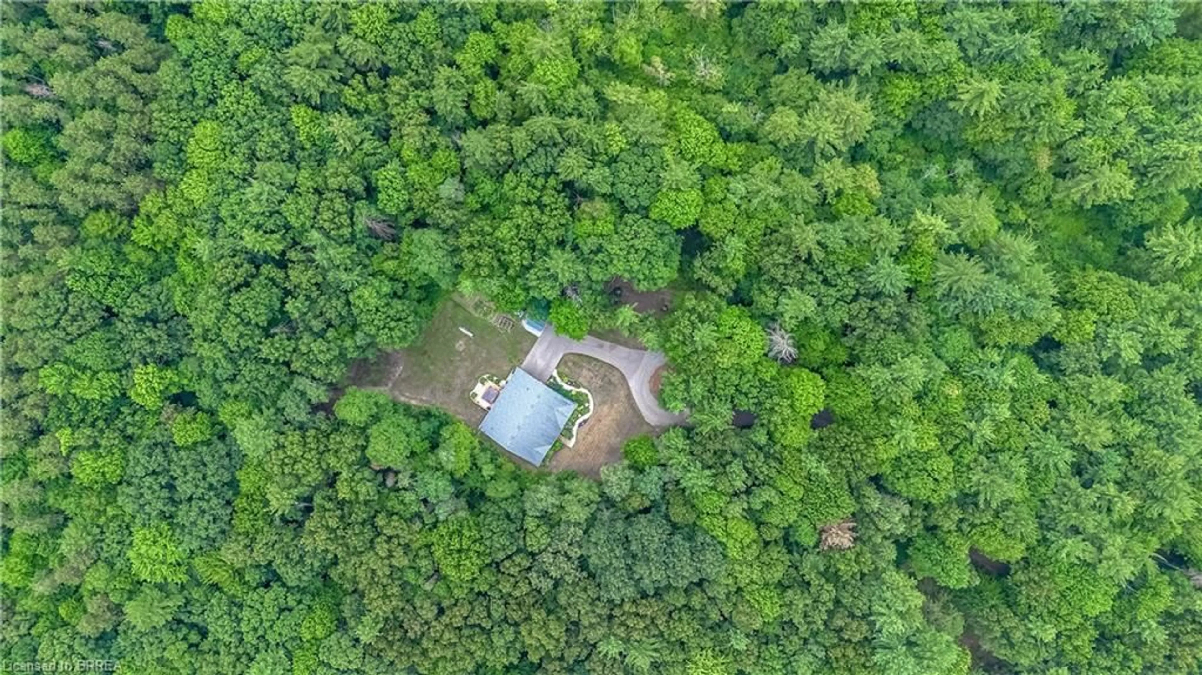 A pic from outside/outdoor area/front of a property/back of a property/a pic from drone, forest/trees view for 156 St Johns Rd, Simcoe Ontario N3Y 4K5