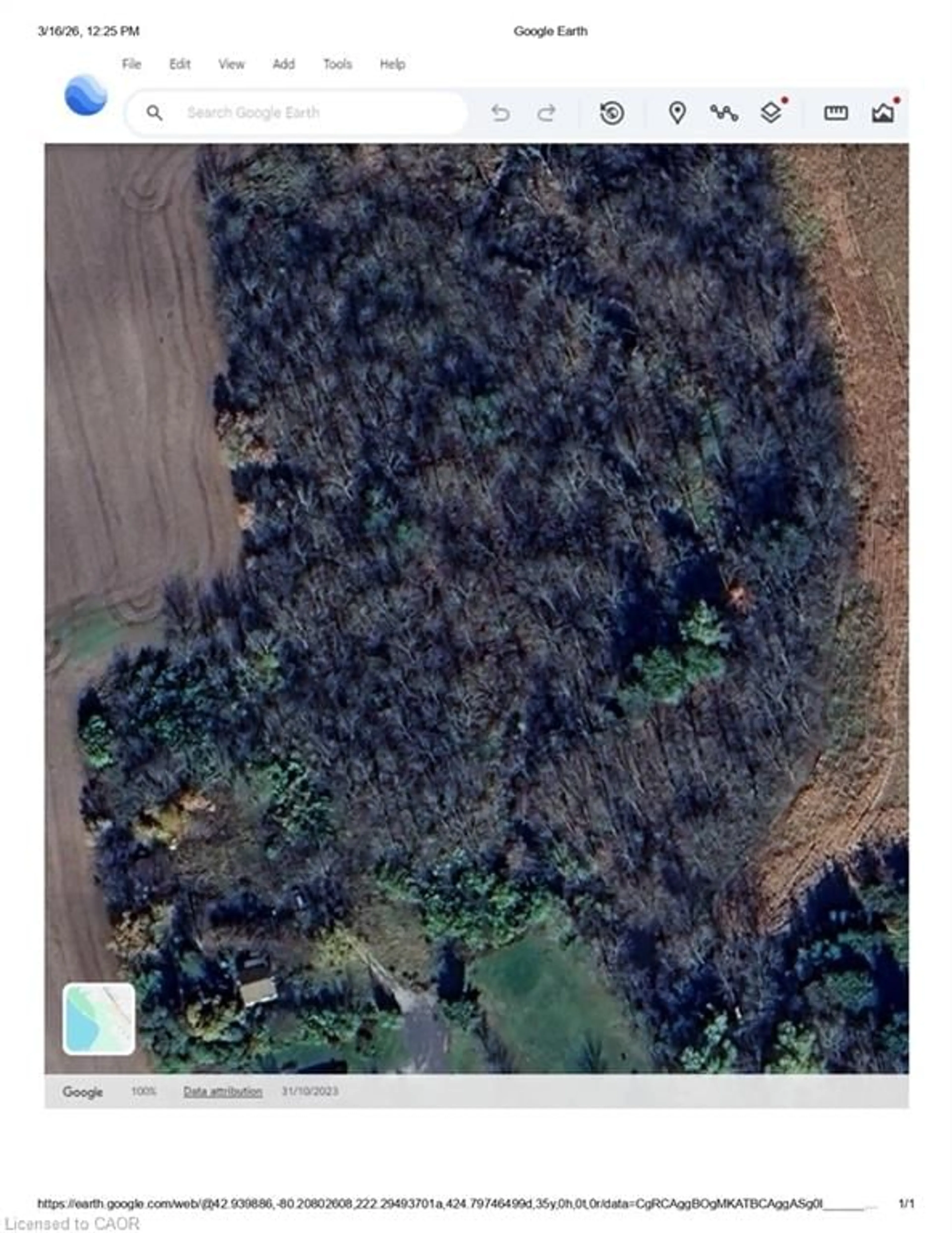 A pic from outside/outdoor area/front of a property/back of a property/a pic from drone, forest/trees view for 31 Mclaren St, Villa Nova Ontario N0E 1Y0