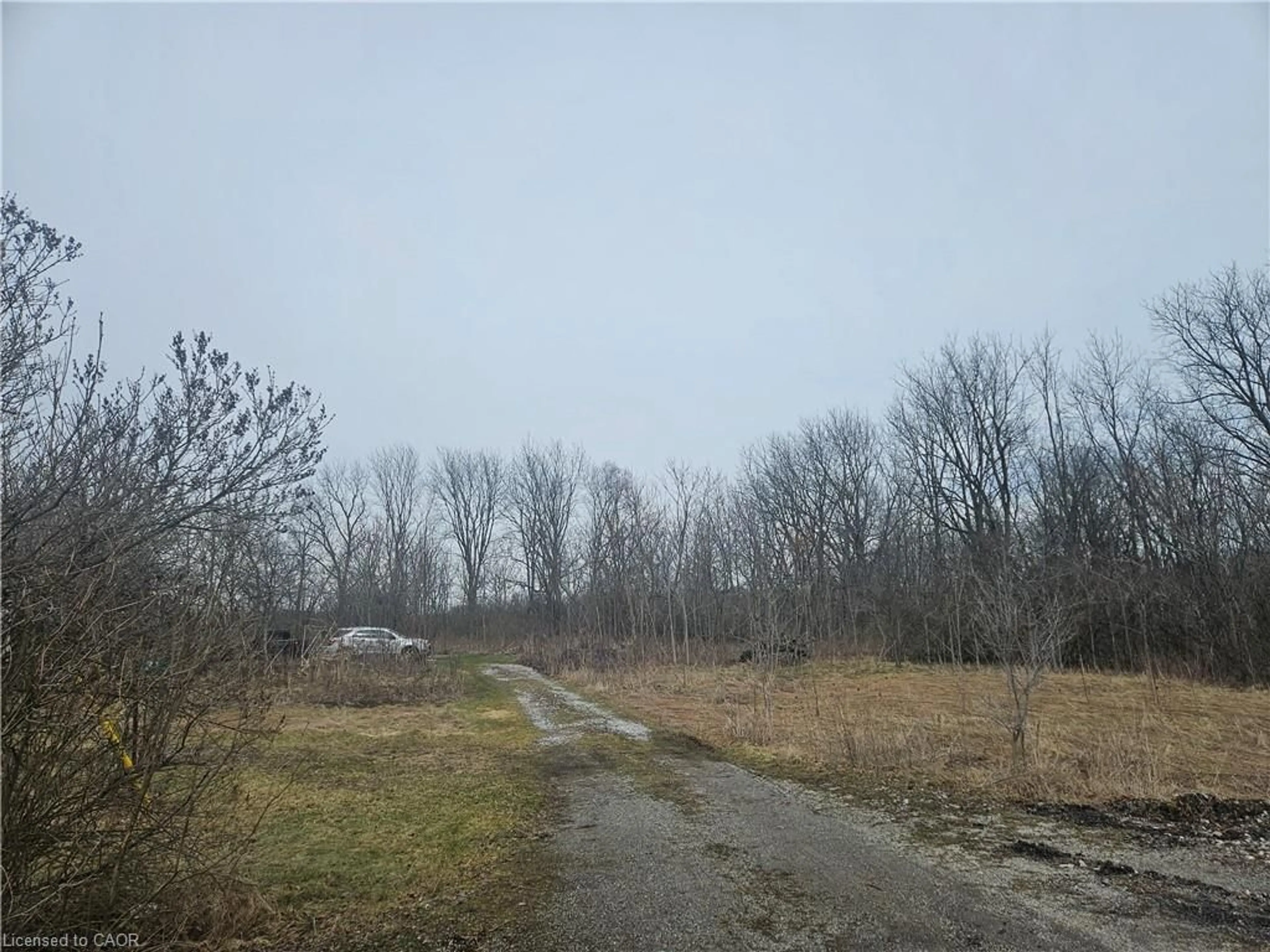 Blurry image for 31 Mclaren St, Villa Nova Ontario N0E 1Y0