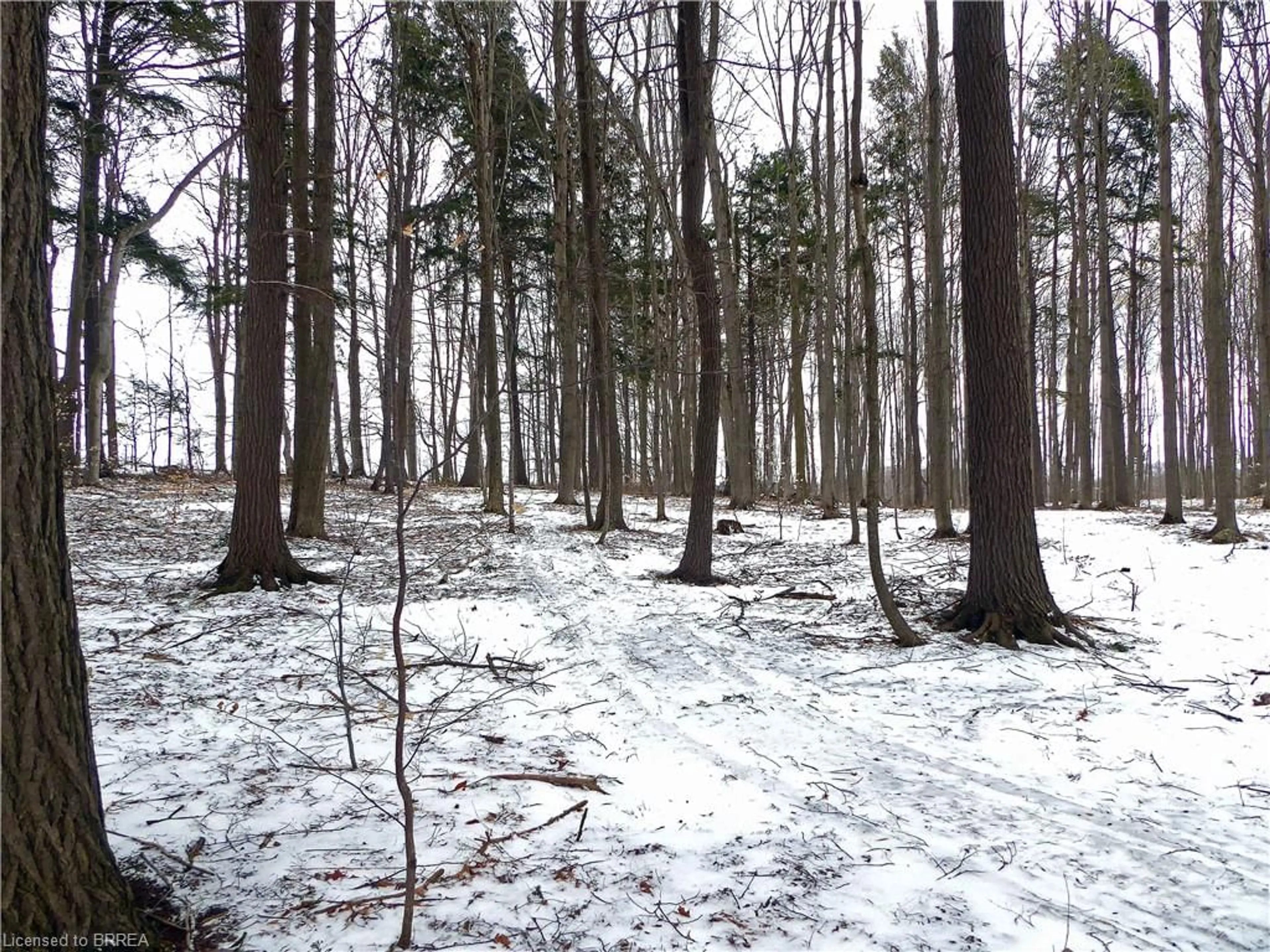 Blurry image for 8949 Wellington Road 22 Rd, Erin Ontario N0B 1Z0