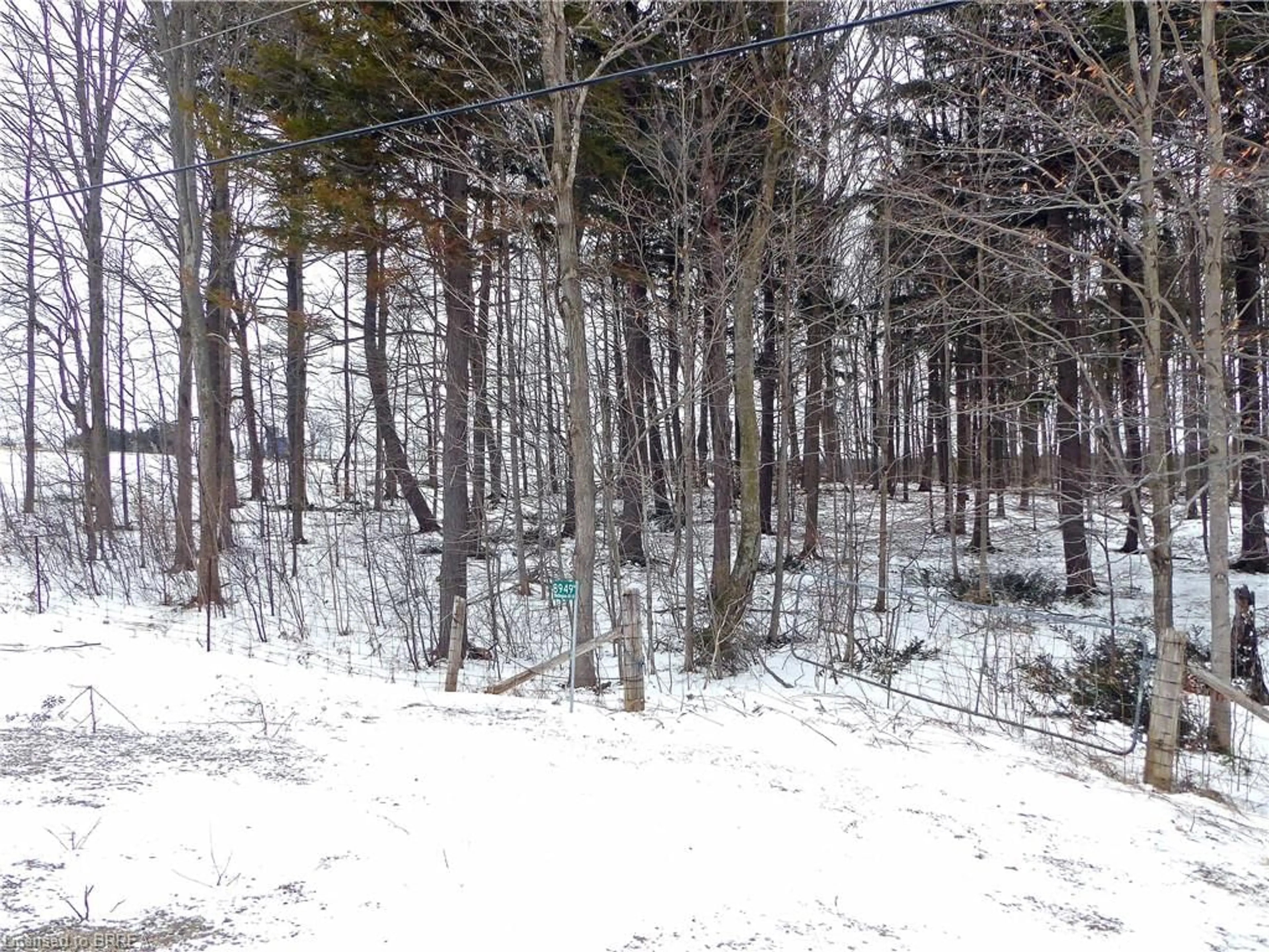 Blurry image for 8949 Wellington Road 22 Rd, Erin Ontario N0B 1Z0