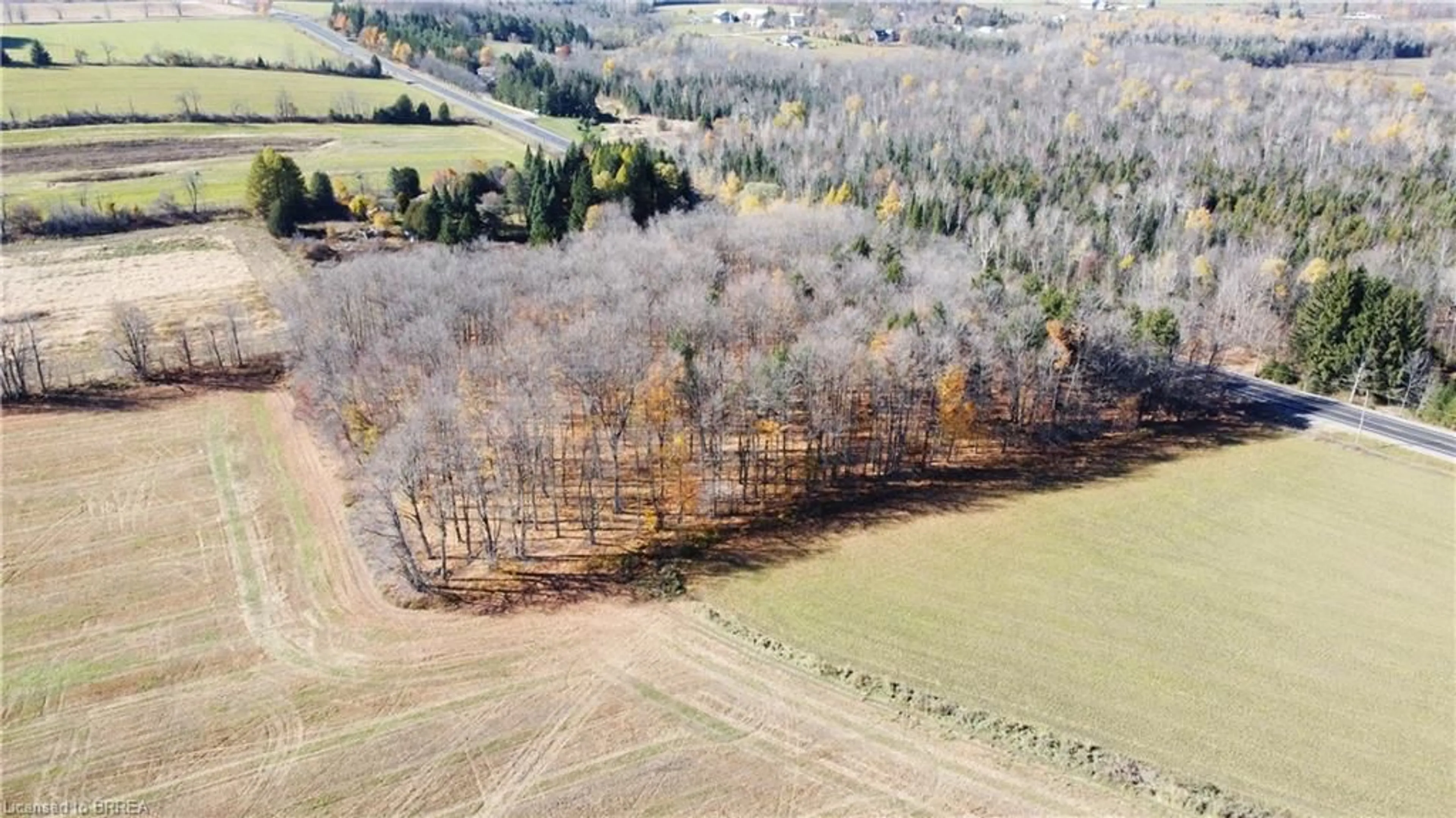 A pic from outside/outdoor area/front of a property/back of a property/a pic from drone, forest/trees view for 8949 Wellington Road 22 Rd, Erin Ontario N0B 1Z0
