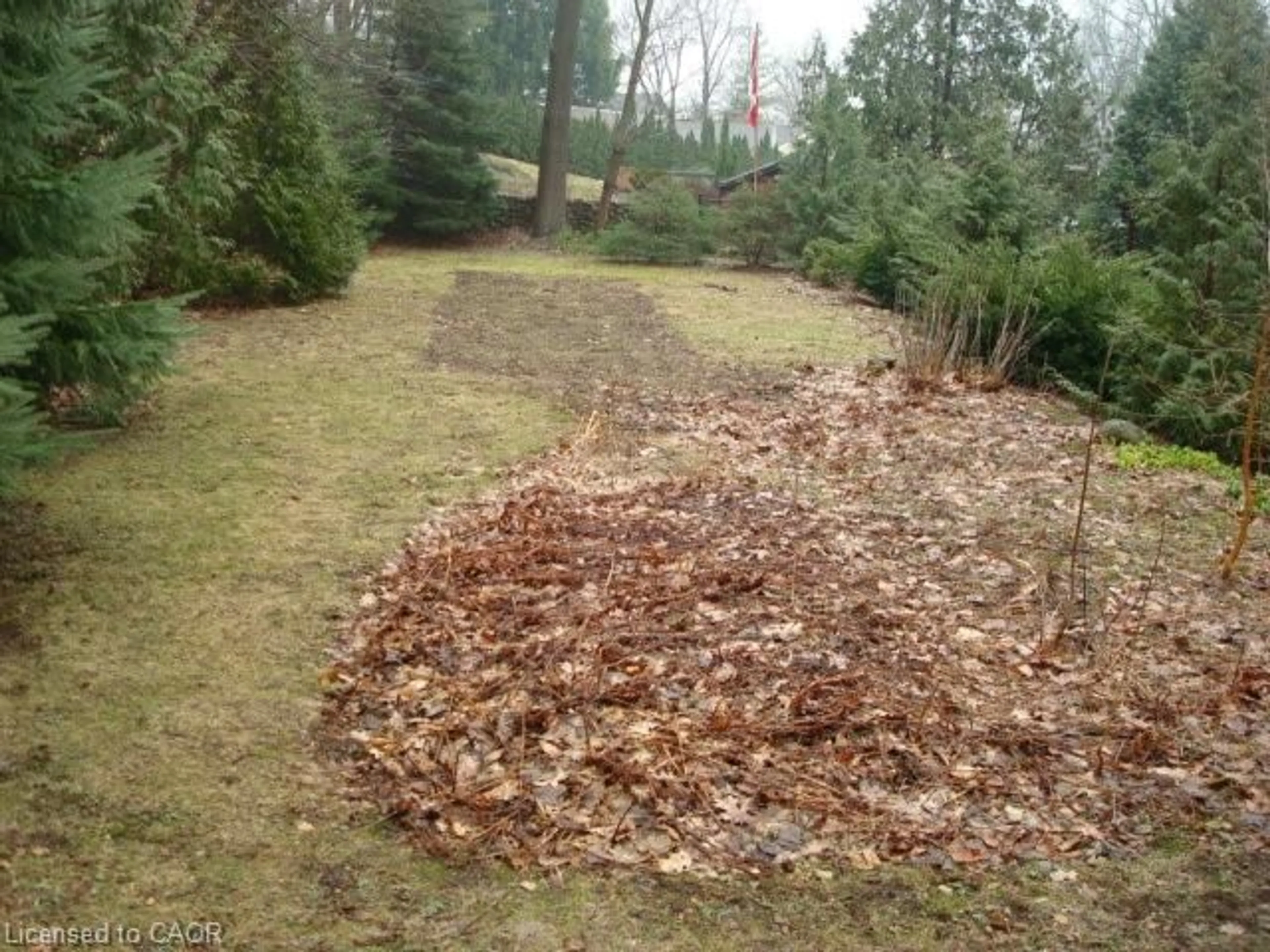 A pic from outside/outdoor area/front of a property/back of a property/a pic from drone, forest/trees view for 135 Glenforest Rd, Cambridge Ontario N3C 1V6