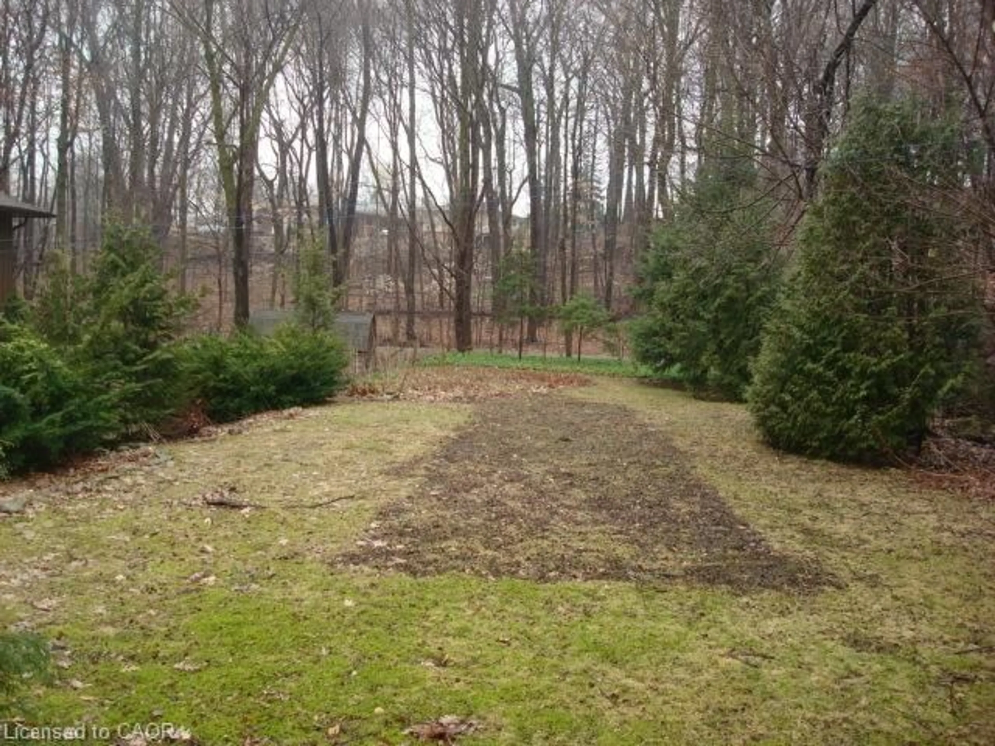 A pic from outside/outdoor area/front of a property/back of a property/a pic from drone, forest/trees view for 135 Glenforest Rd, Cambridge Ontario N3C 1V6