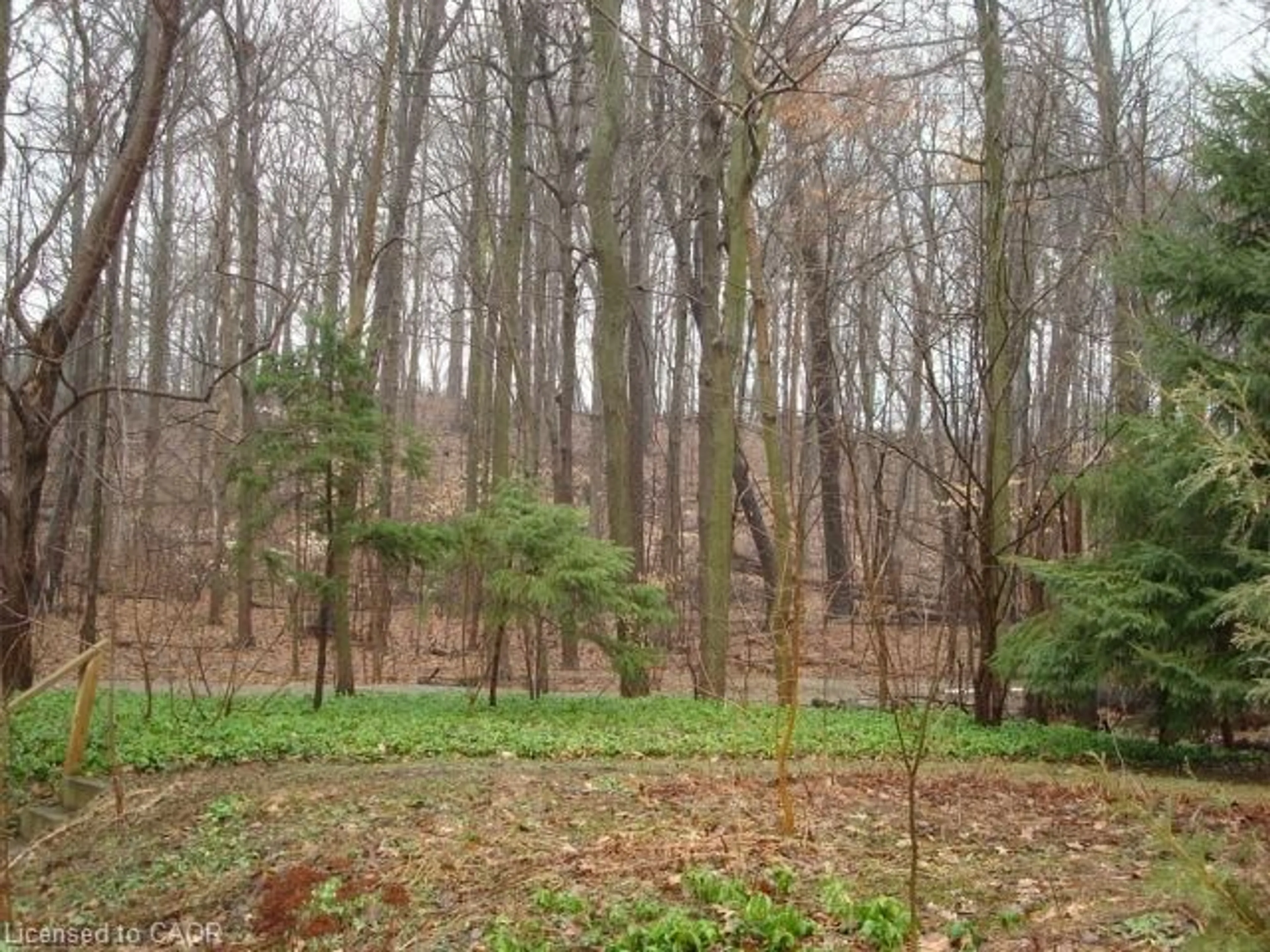 Unknown for 135 Glenforest Rd, Cambridge Ontario N3C 1V6