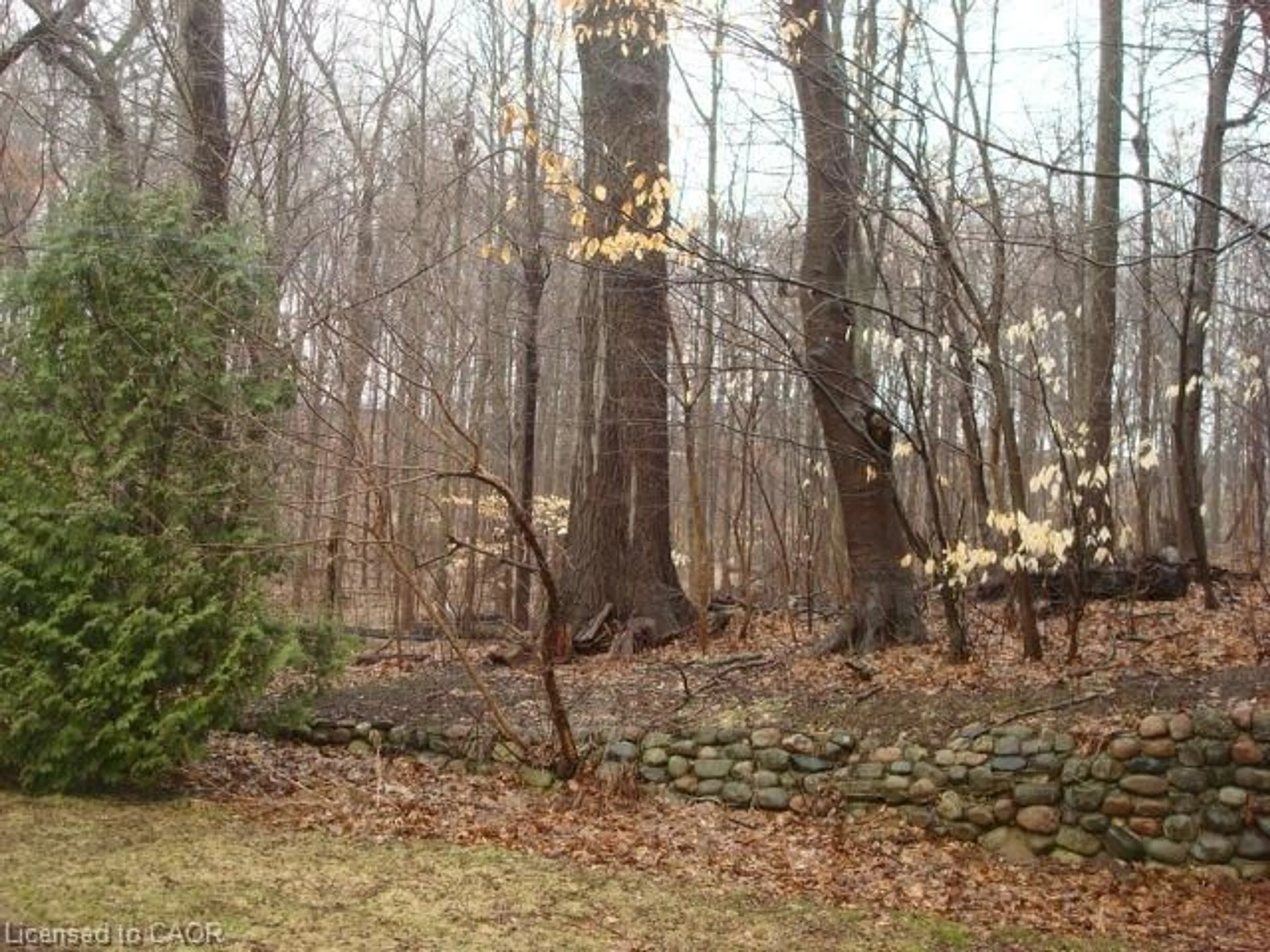 Blurry image for 135 Glenforest Rd, Cambridge Ontario N3C 1V6