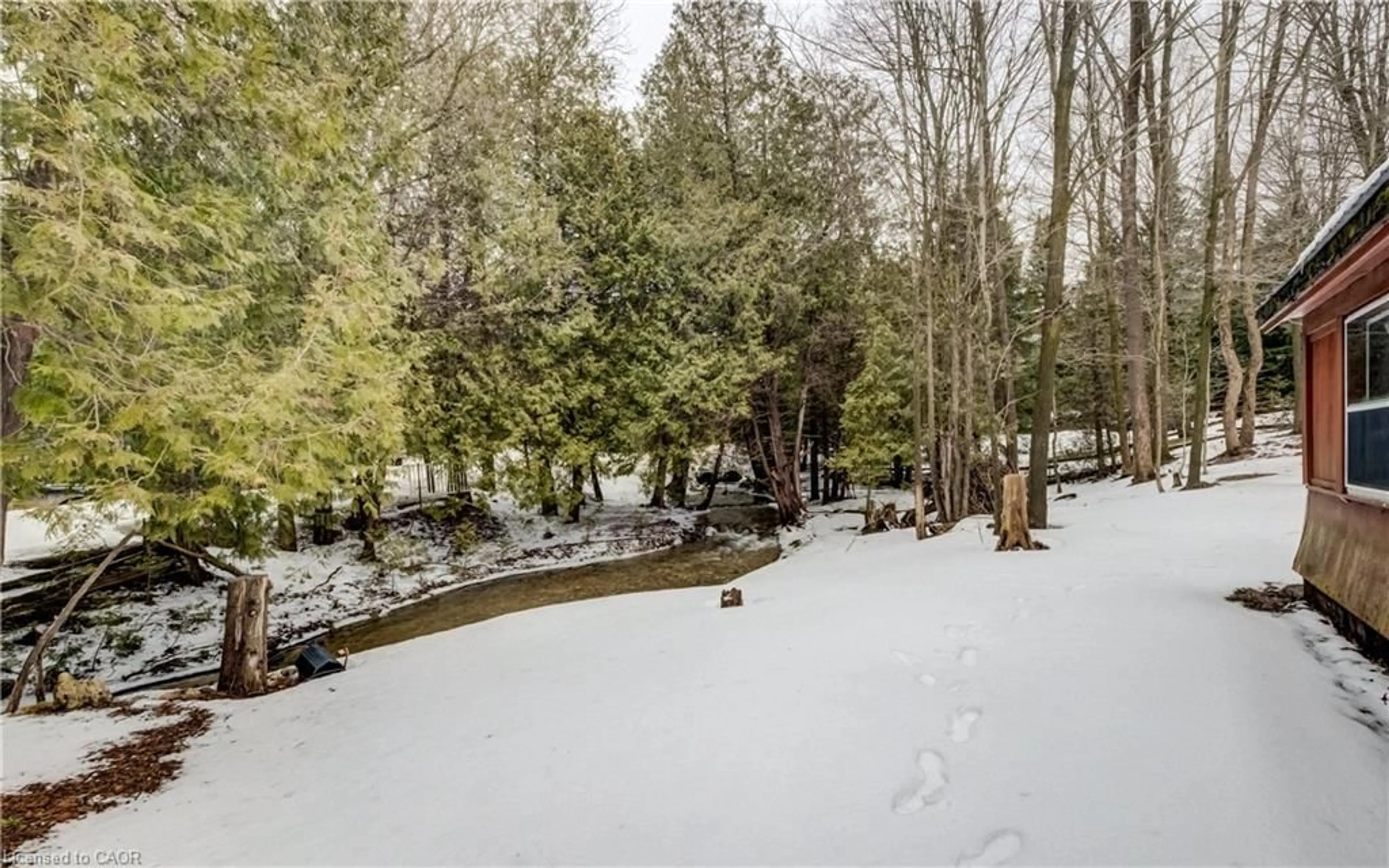 A pic from outside/outdoor area/front of a property/back of a property/a pic from drone, forest/trees view for 263074 Wilder Lake Rd, Durham Ontario N0G 1R0