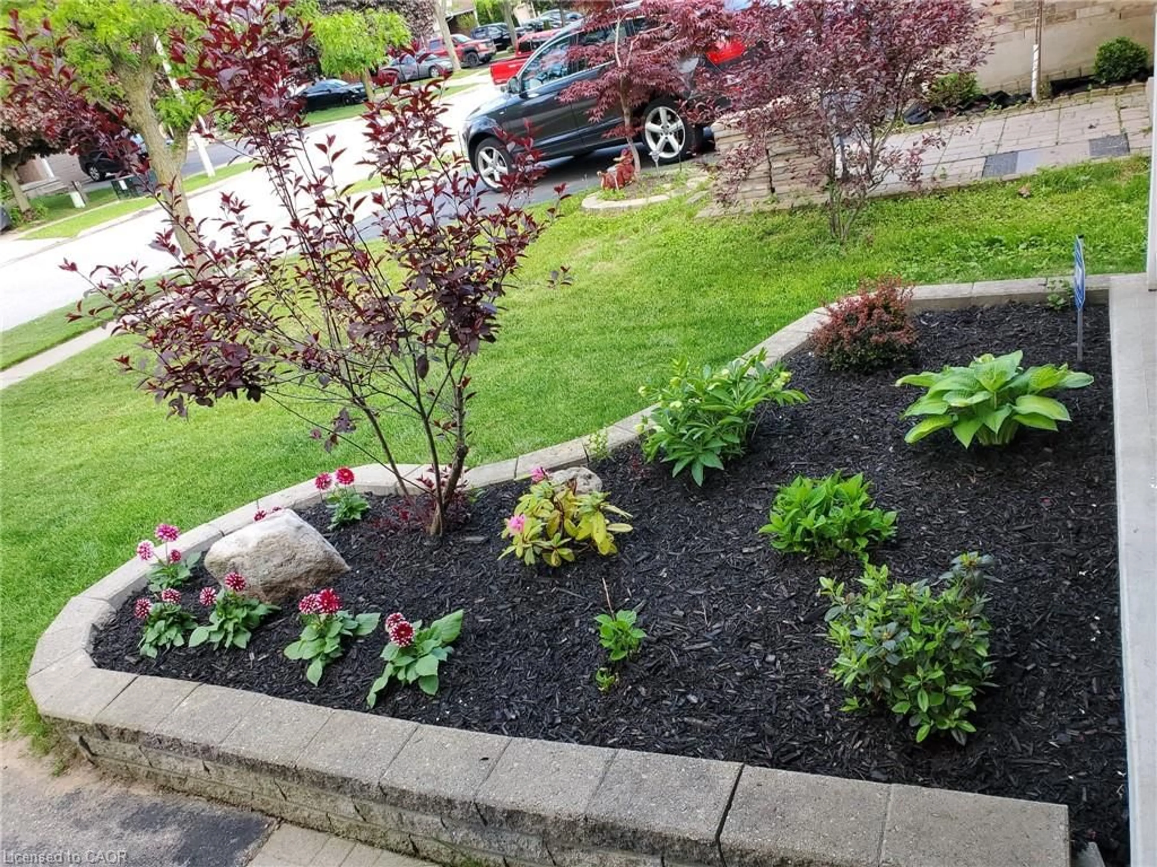 A pic from outside/outdoor area/front of a property/back of a property/a pic from drone, street for 40 Crawford Cres, Cambridge Ontario N1T 1X7