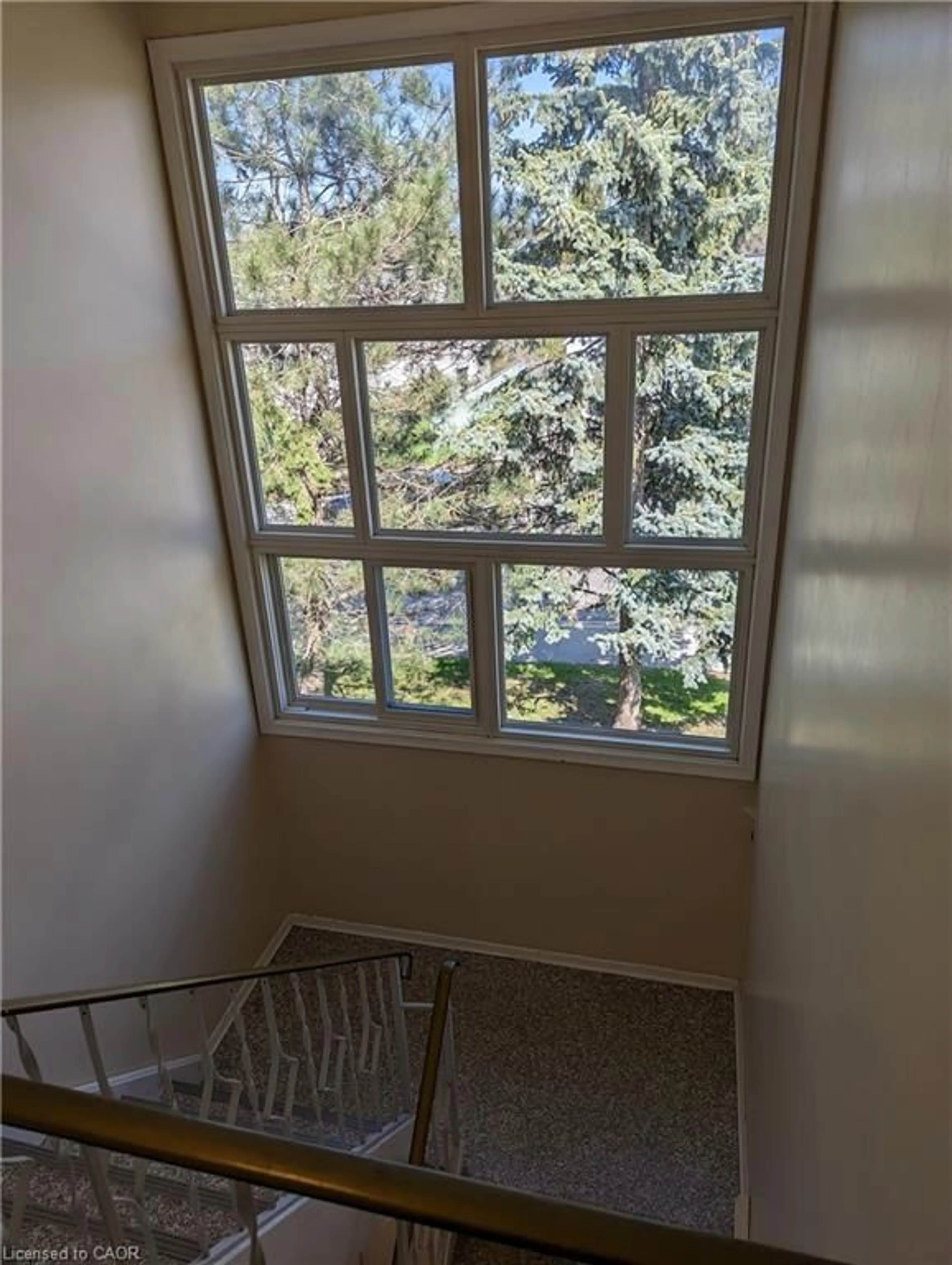 A pic of a room for 351 Hoffman St, Kitchener Ontario N2M 3N5