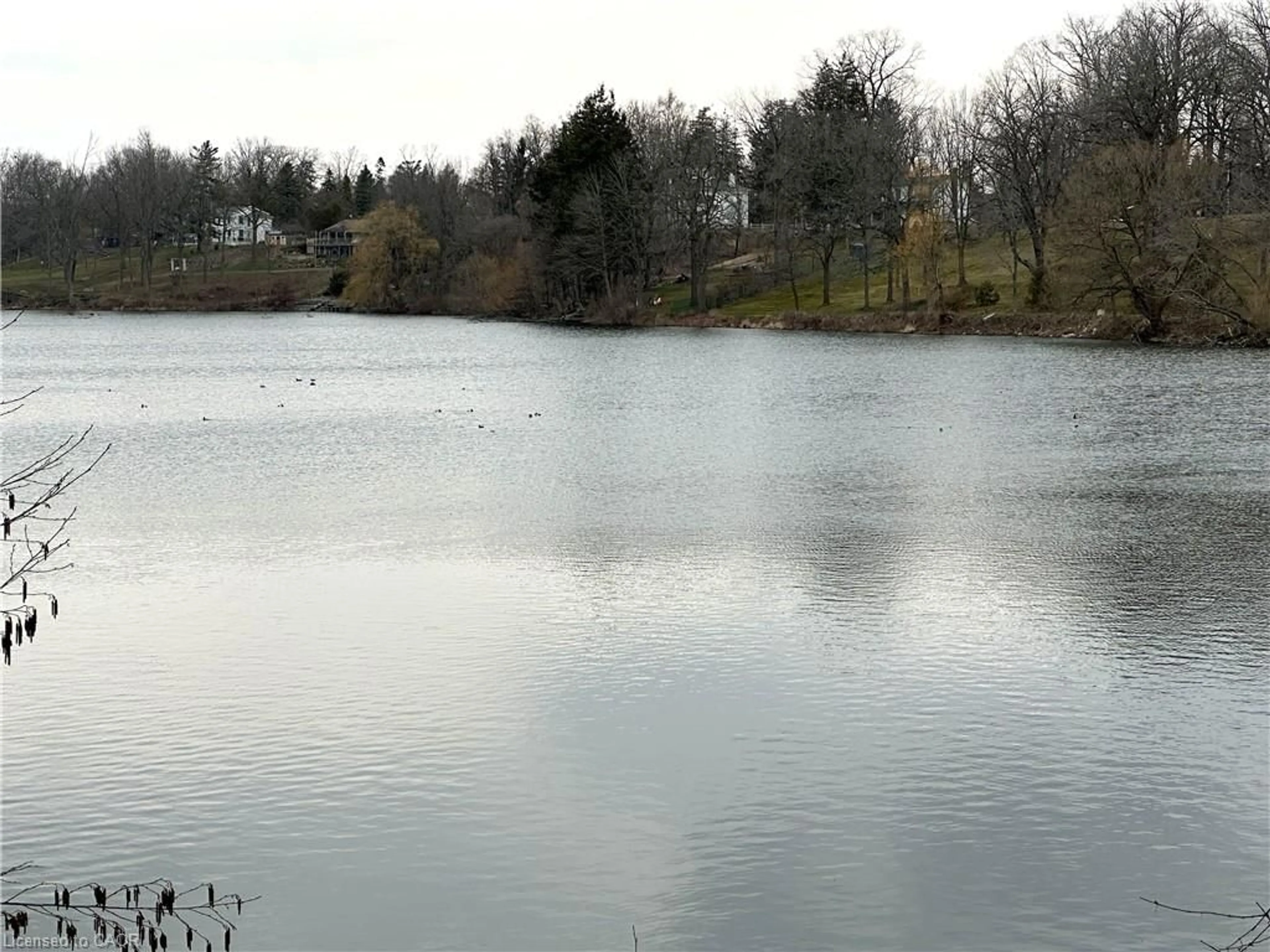 Blurry image for 221 Chapman St, Norfolk Ontario N0A 1N0