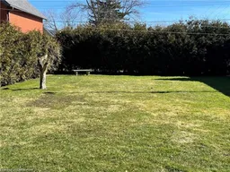 history photo preview