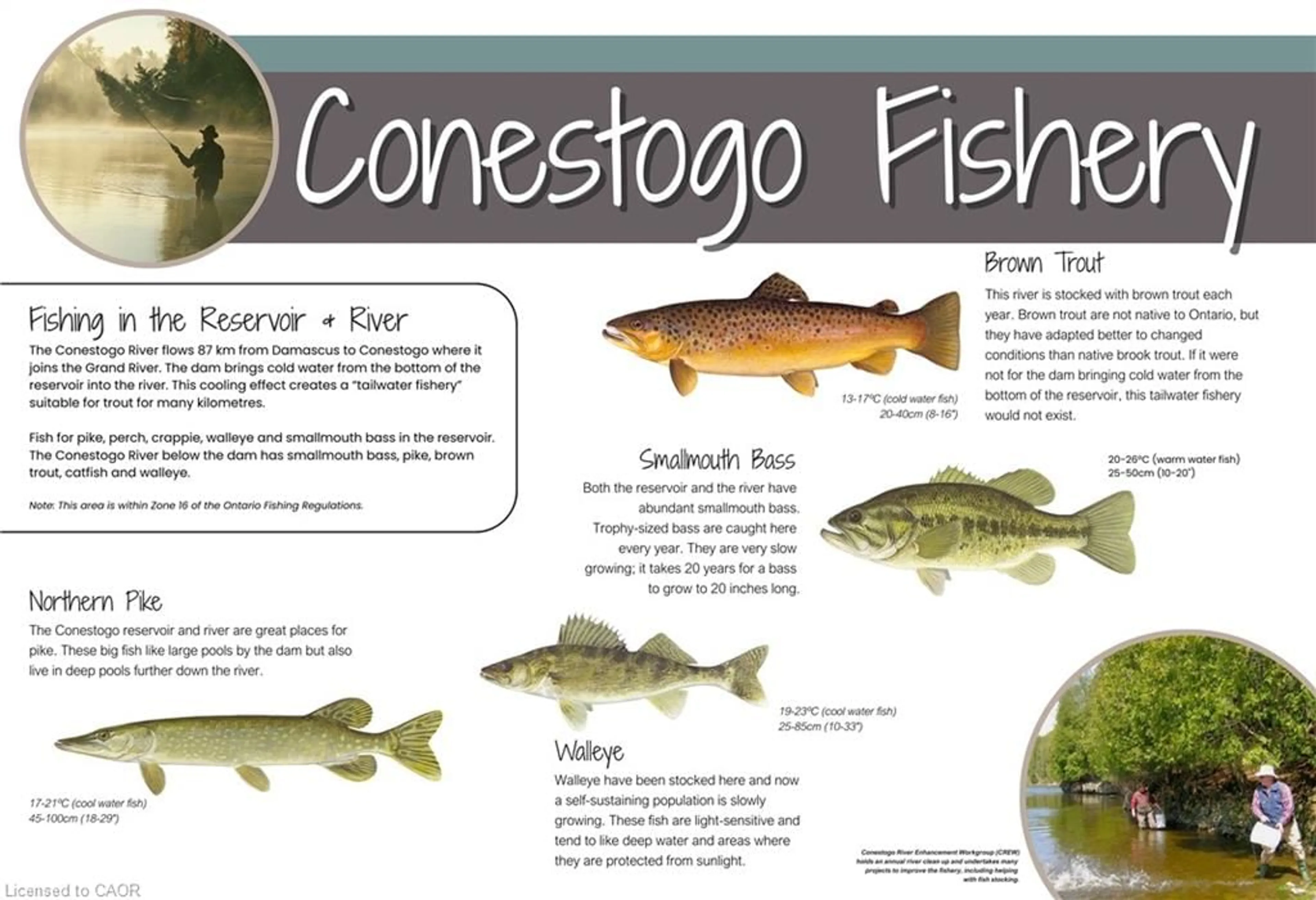 Floor plan for 129 Road 100, Conestogo Lake Ontario N0G 1P0